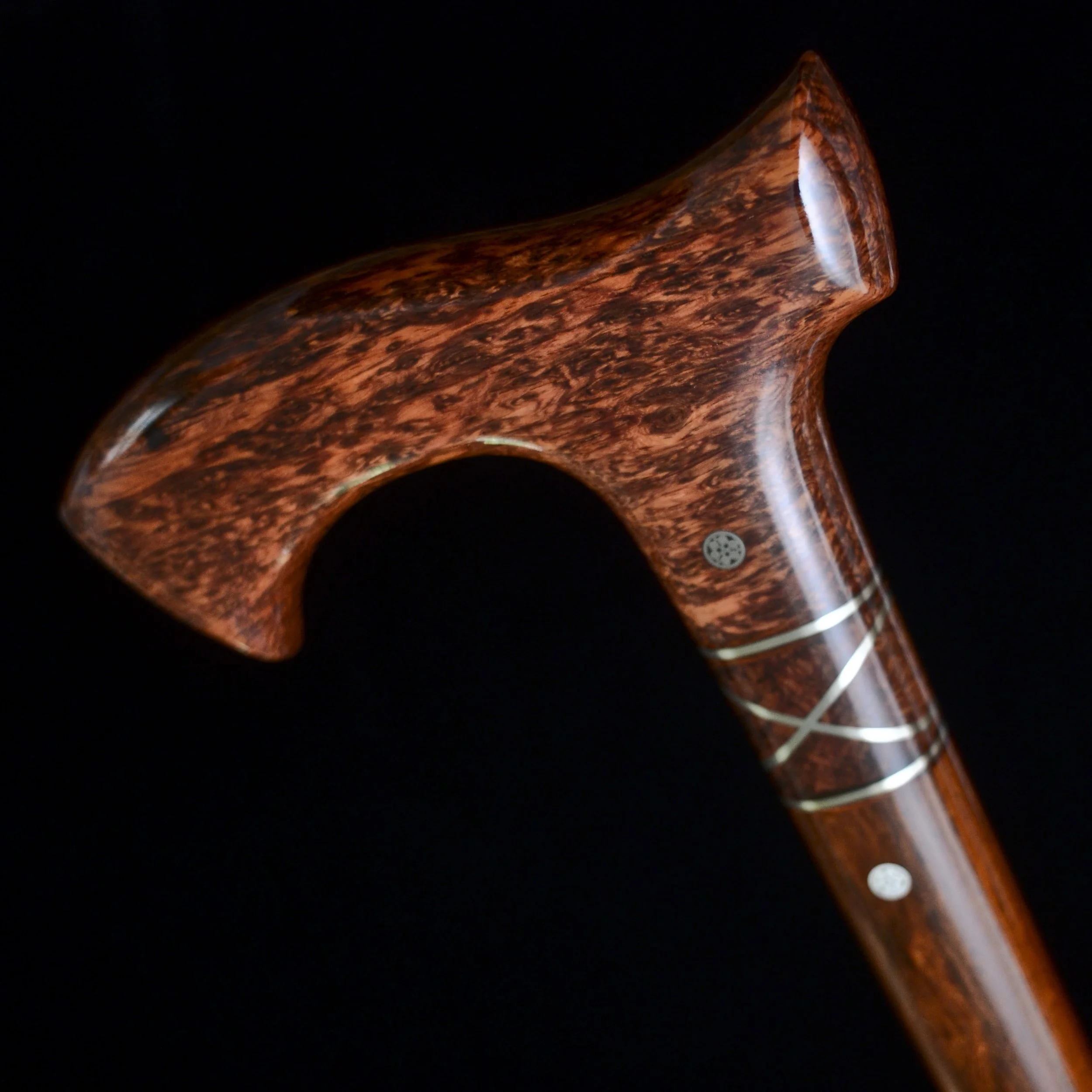Siamese, Cocobolo 9.jpg