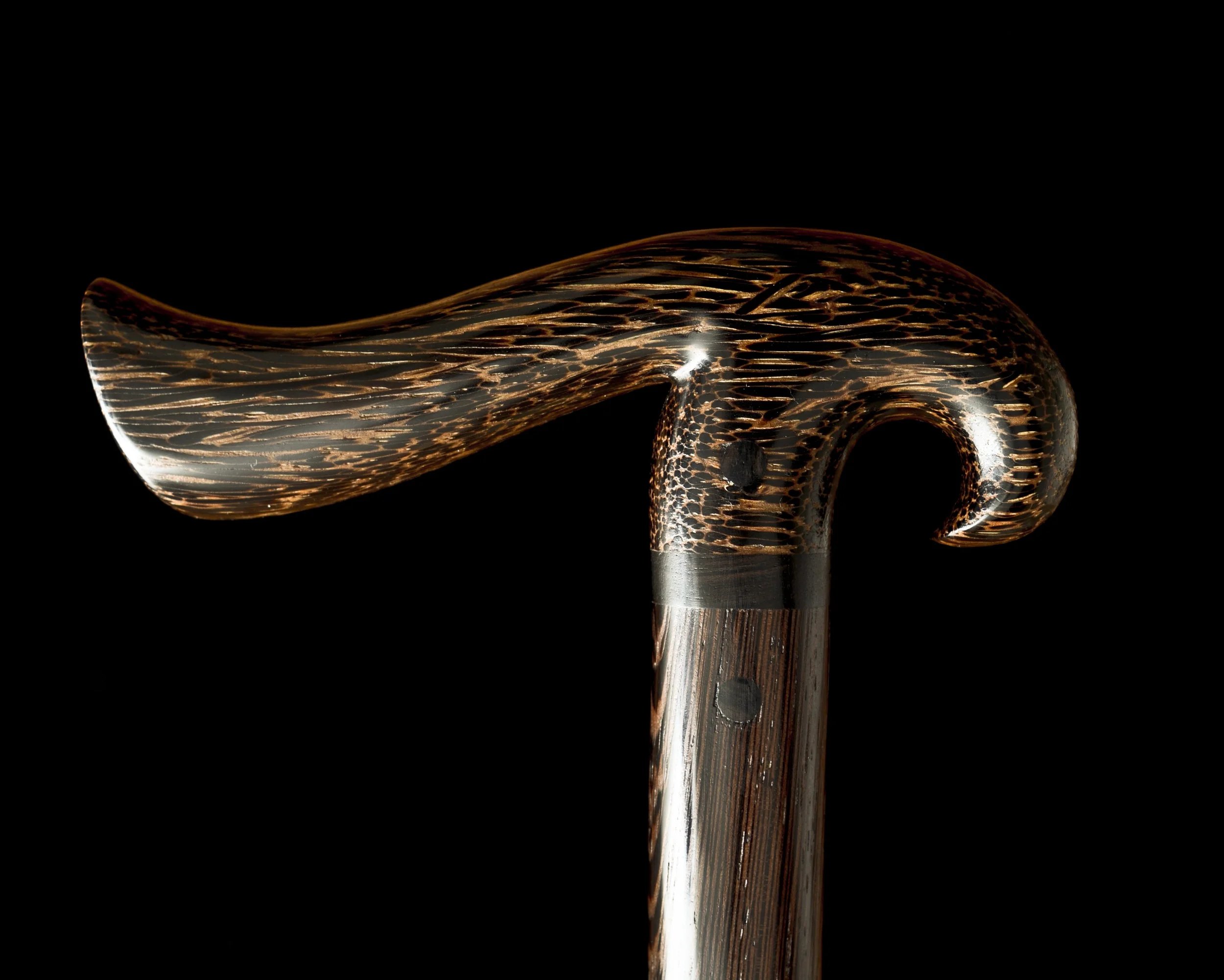 Black Palm Bird5.JPG