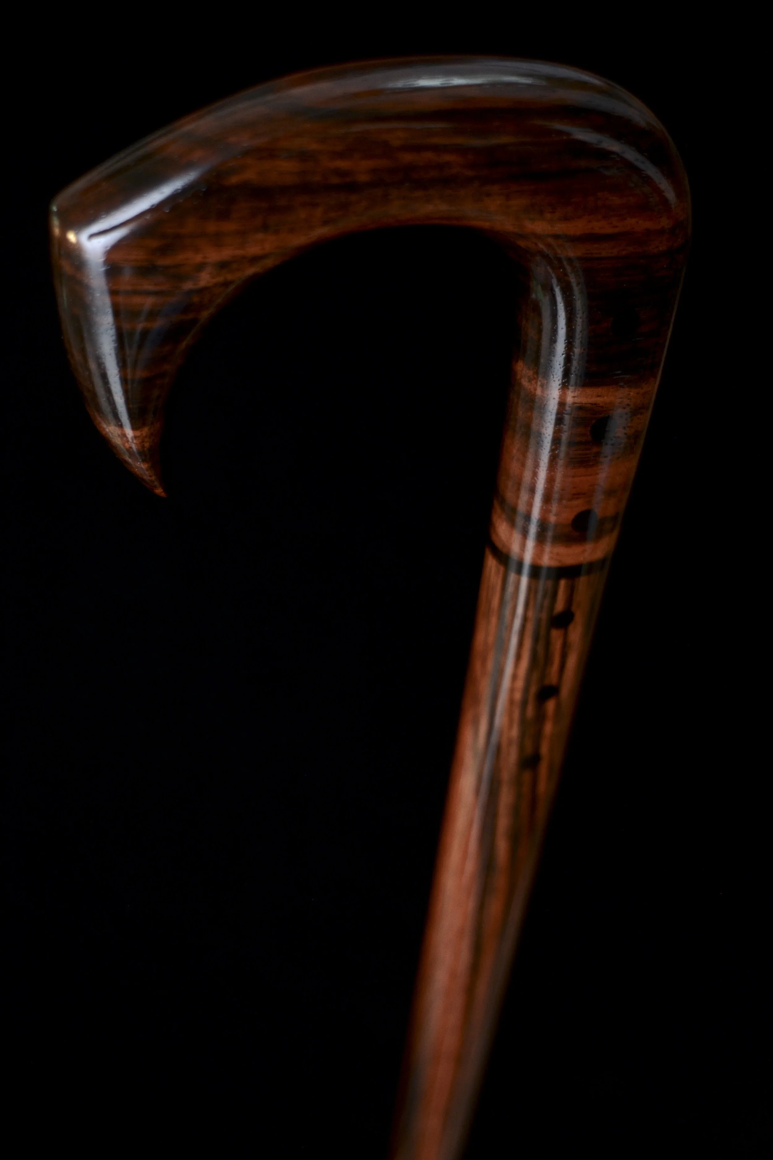 Ebony Talon 6.jpg