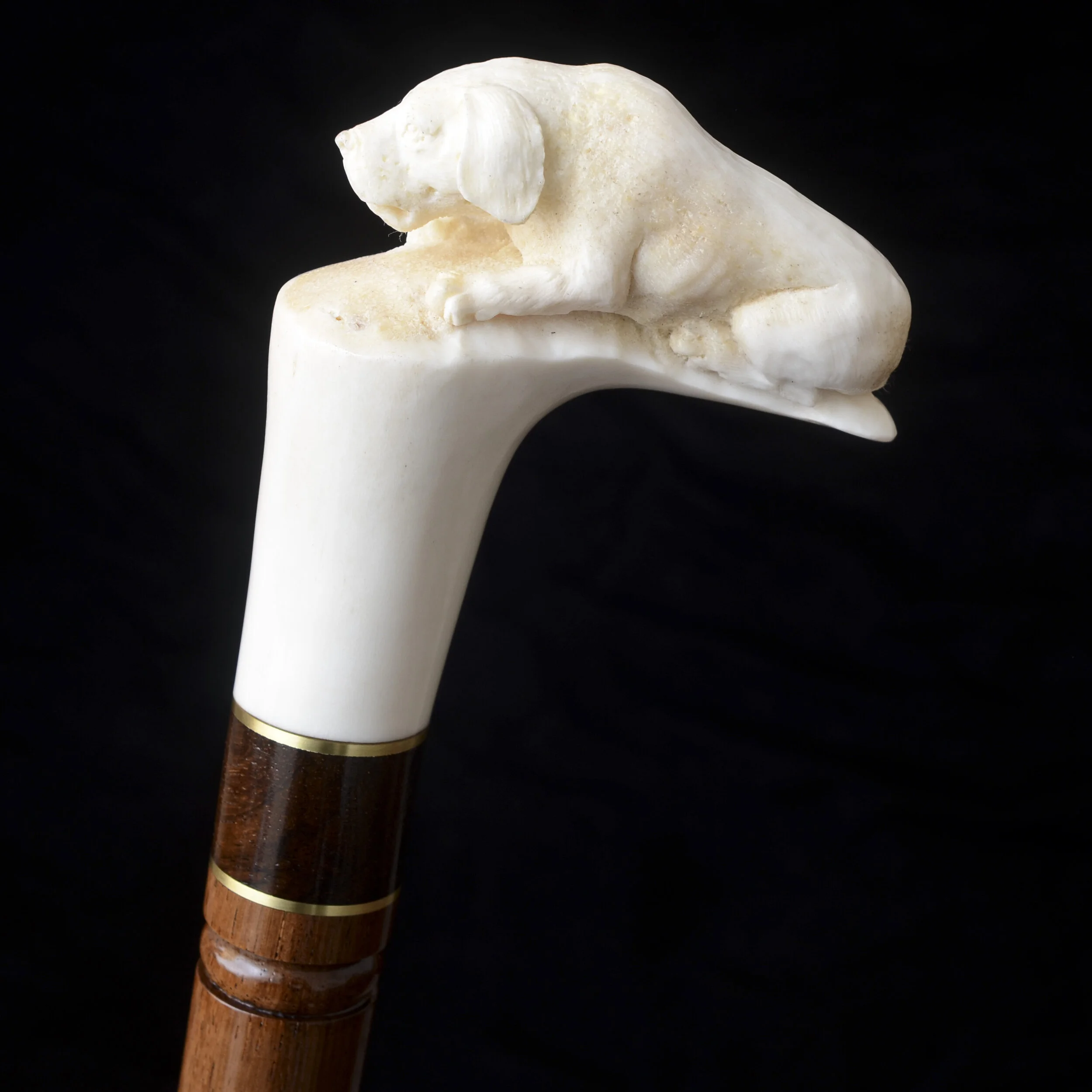 Deer Antler, Madagascar Rosewood 9.jpg