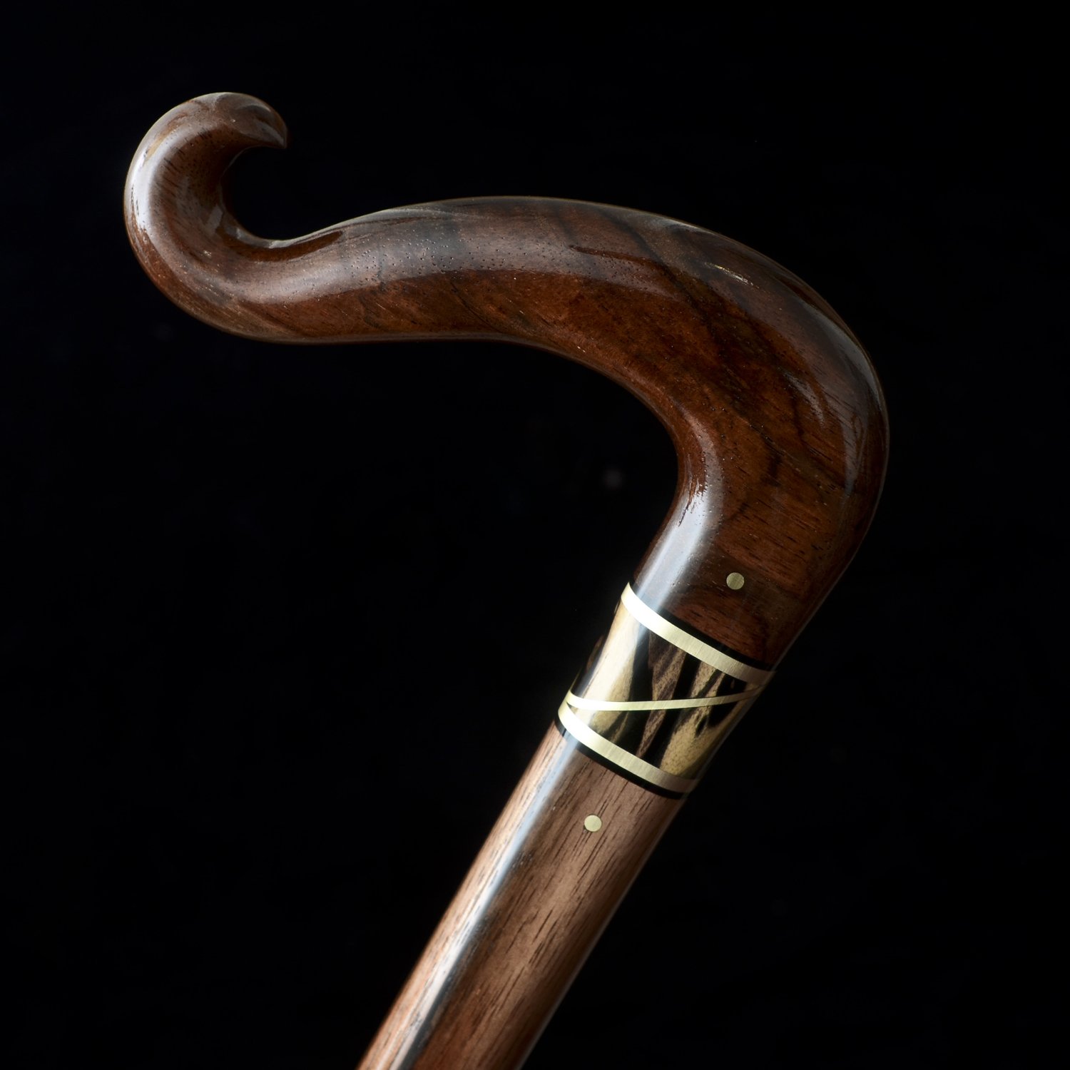 Walking Stick – The Lawrence Hall of Science