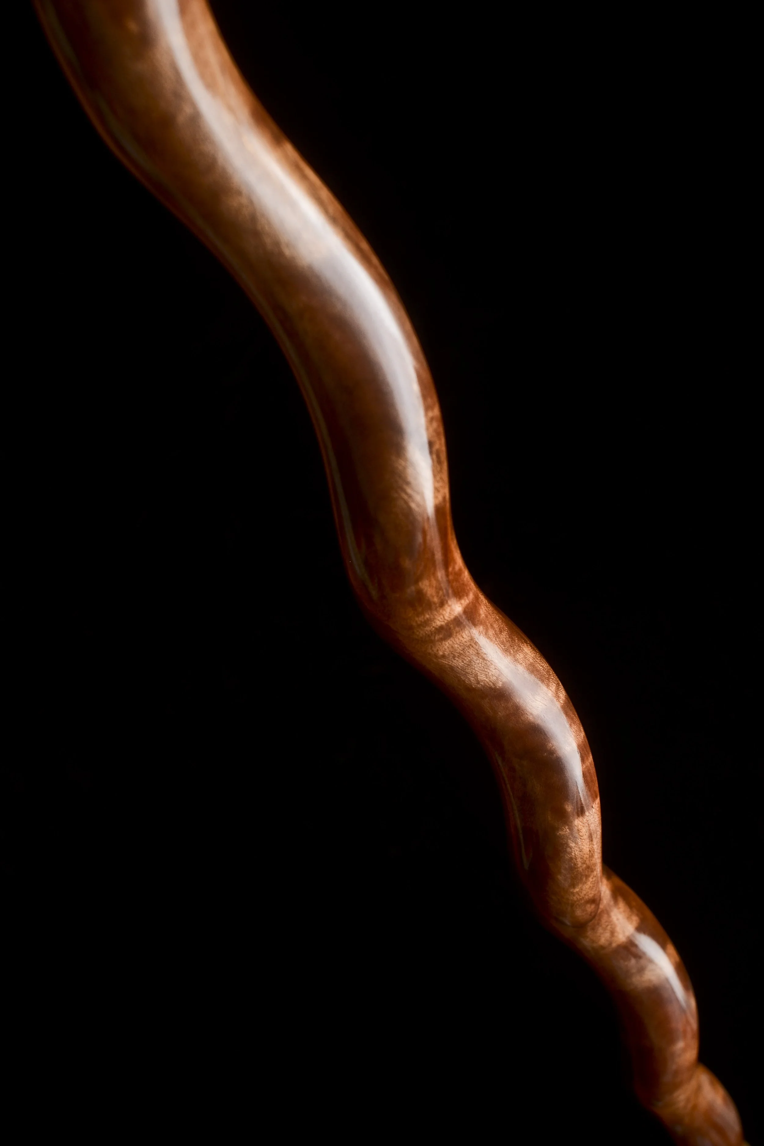 Honduran Stick 12.jpg