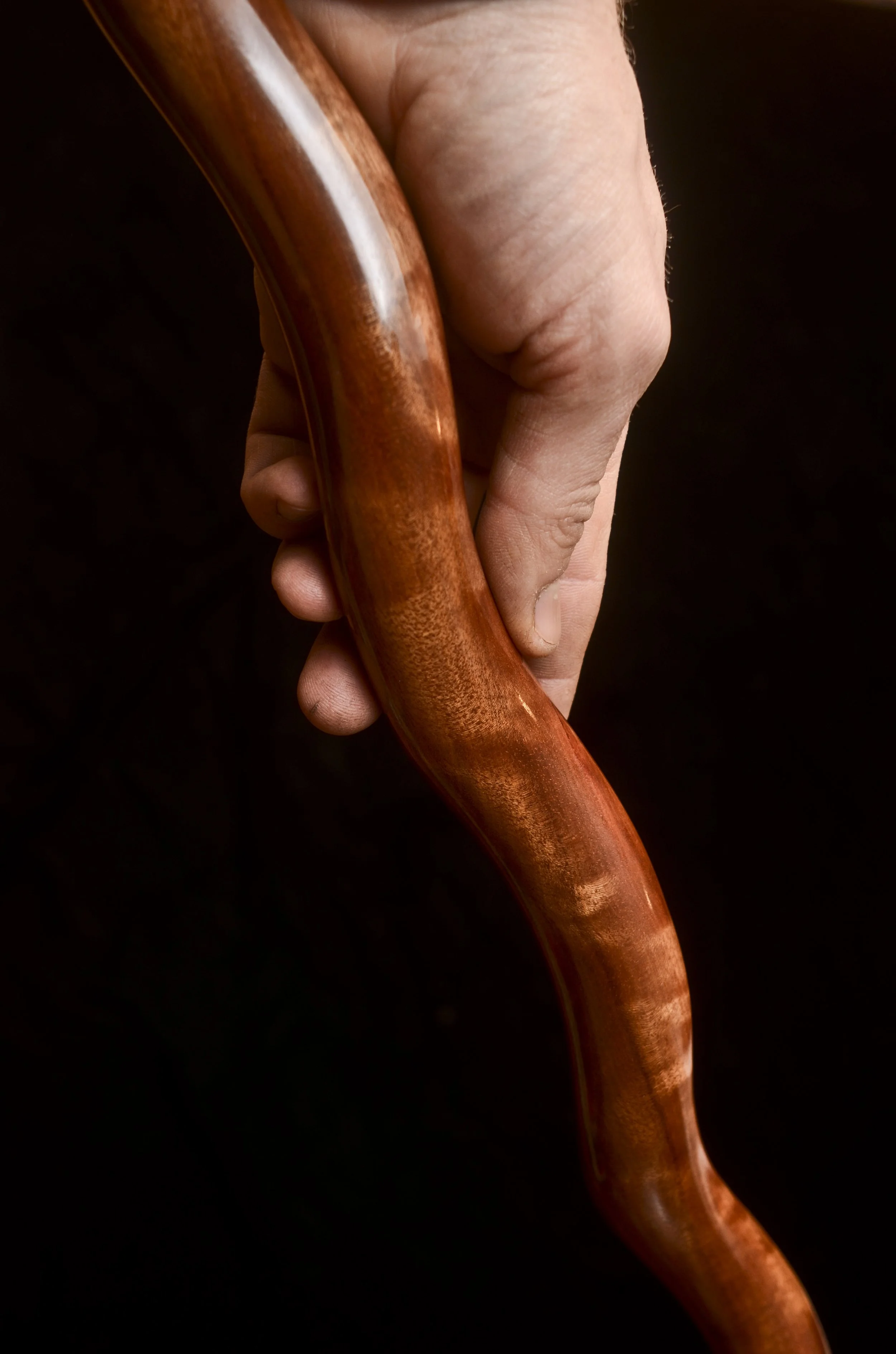 Honduran Stick 14.jpg