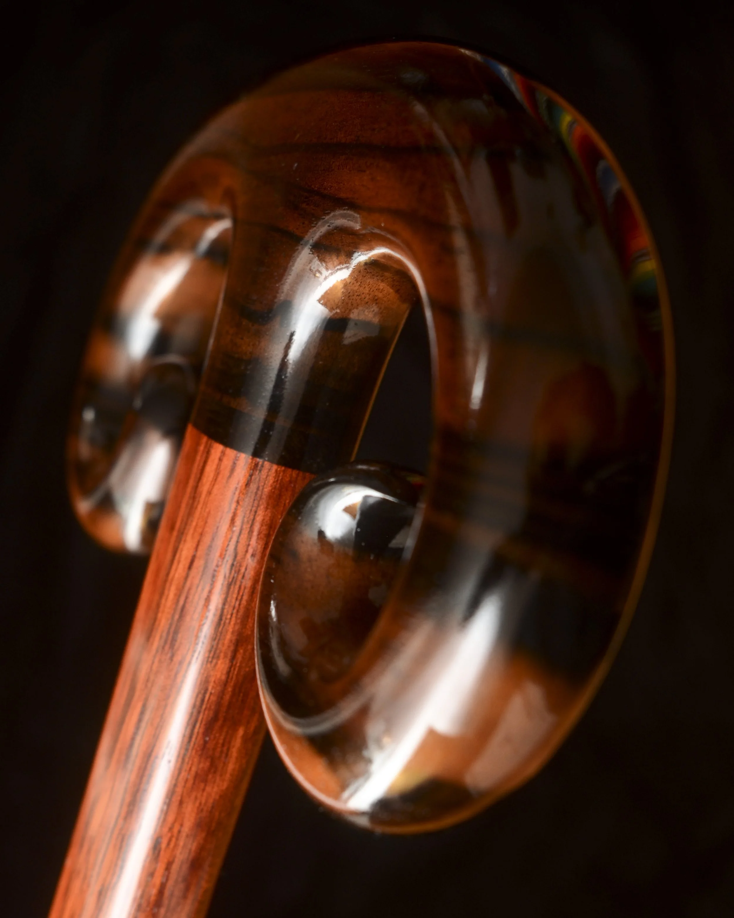Ebony Bloodwood 4.jpg