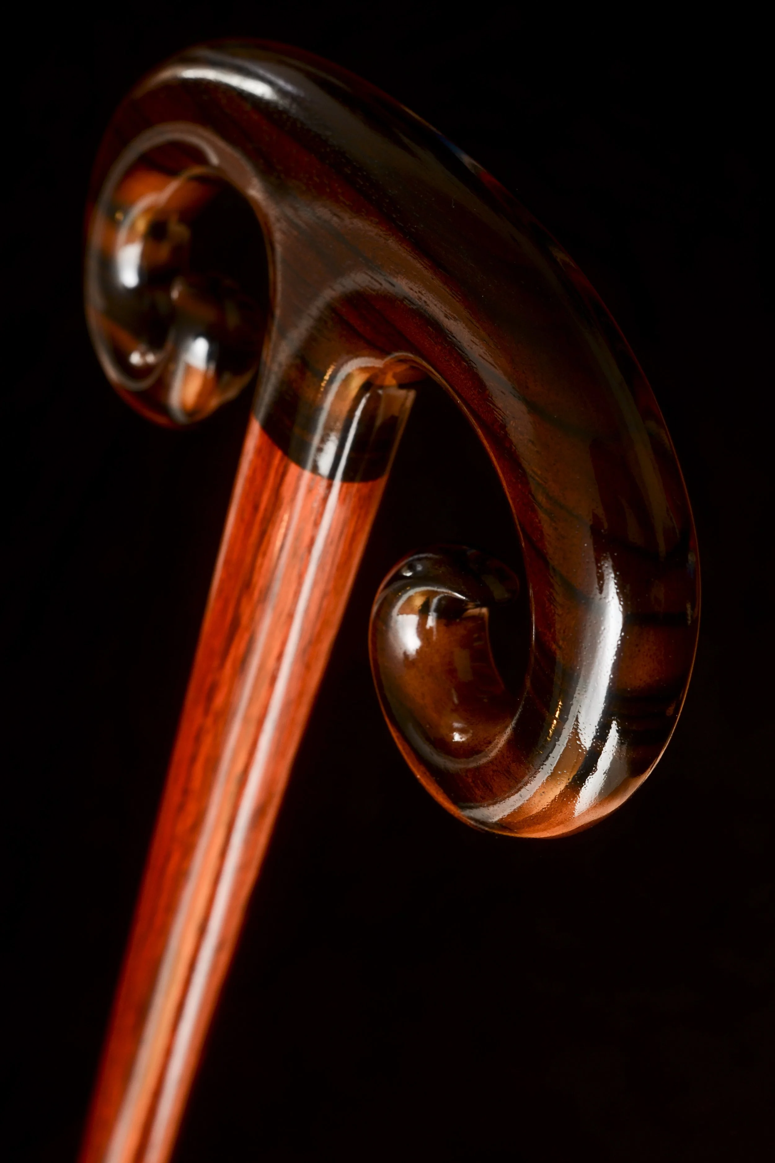 Ebony Bloodwood 2.jpg