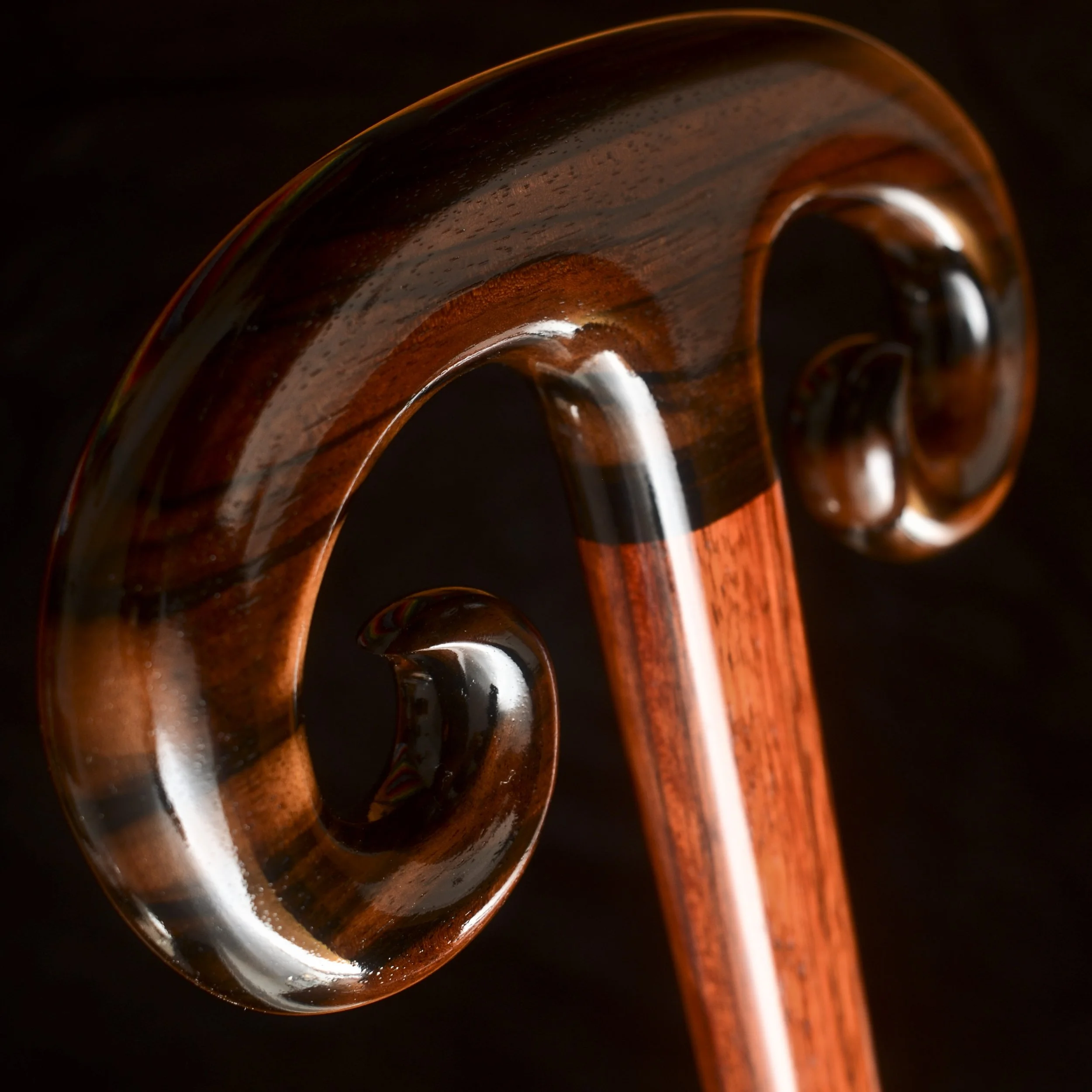 Ebony Bloodwood 5.jpg