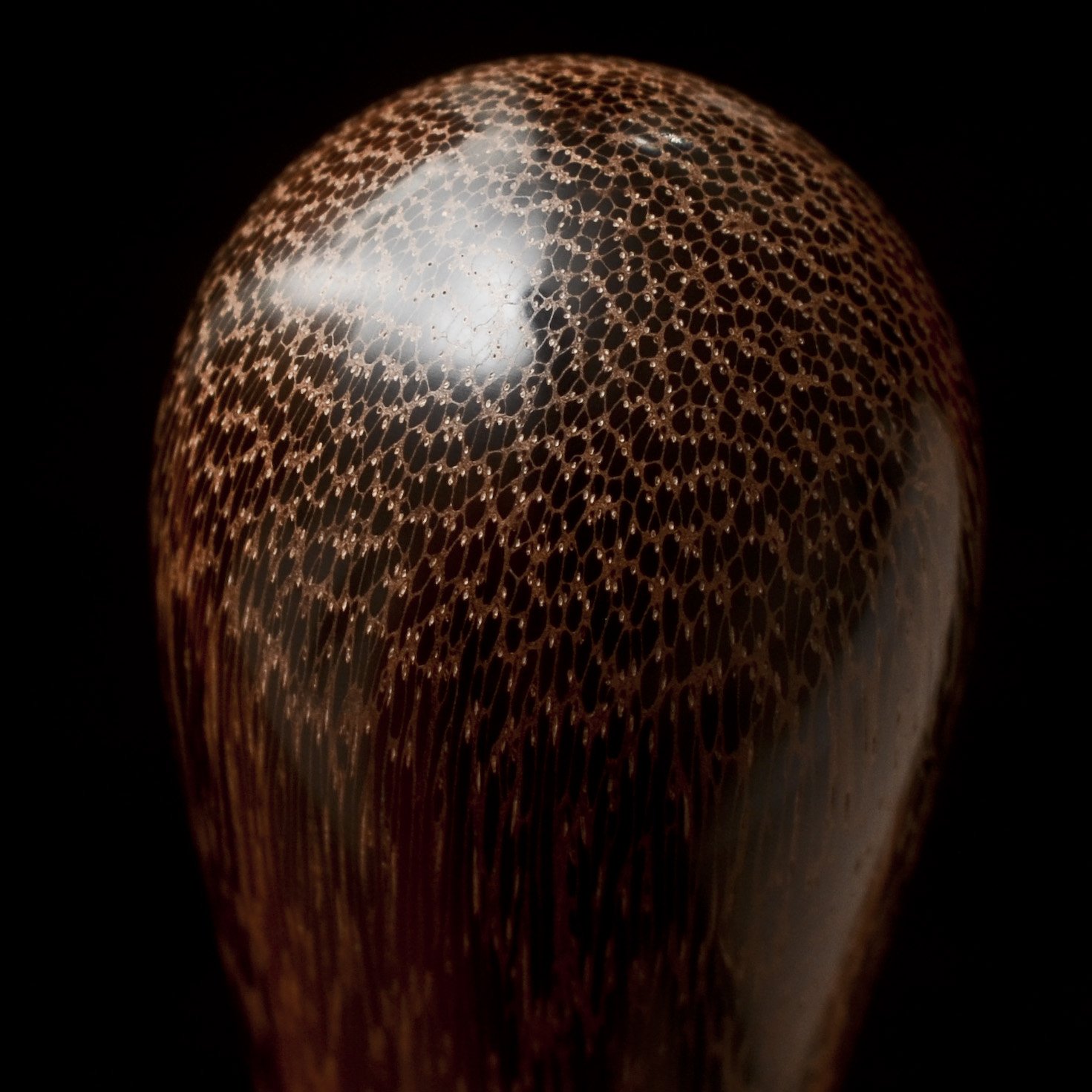 Palm, Ebony 4.jpg