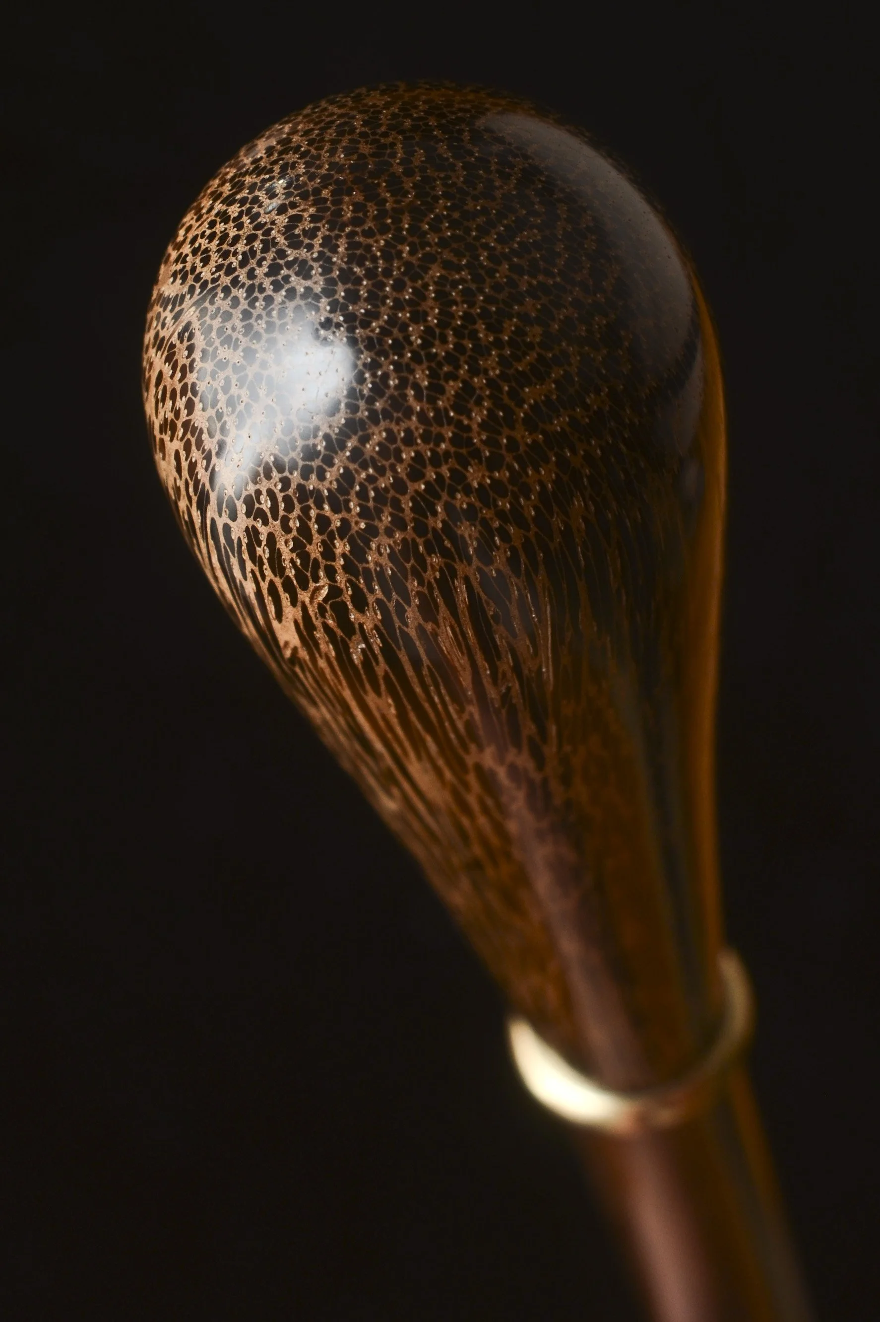 Palm, Ebony 3.jpg