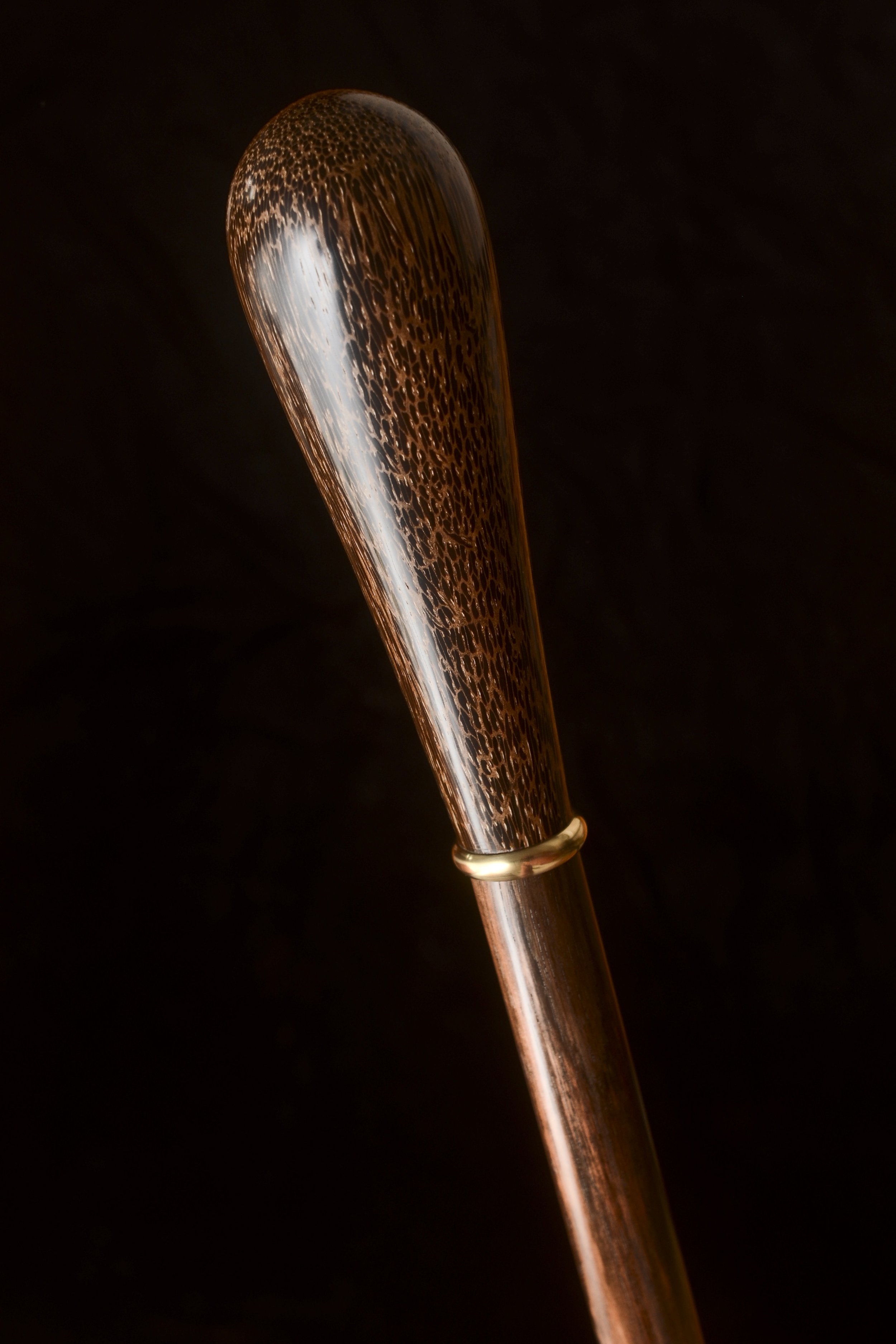 Palm, Ebony 1.jpg