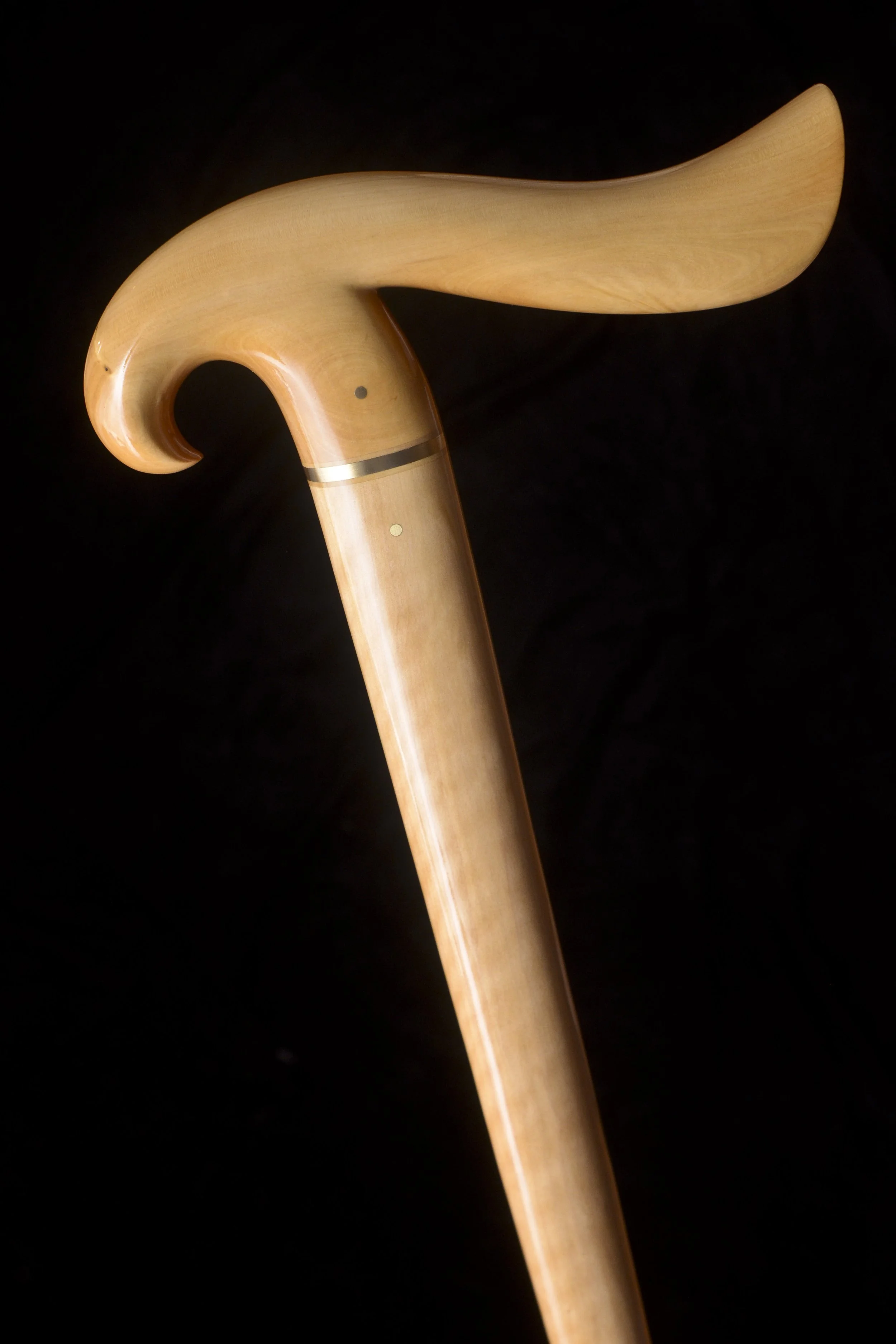 Boxwood Bird 1.jpg