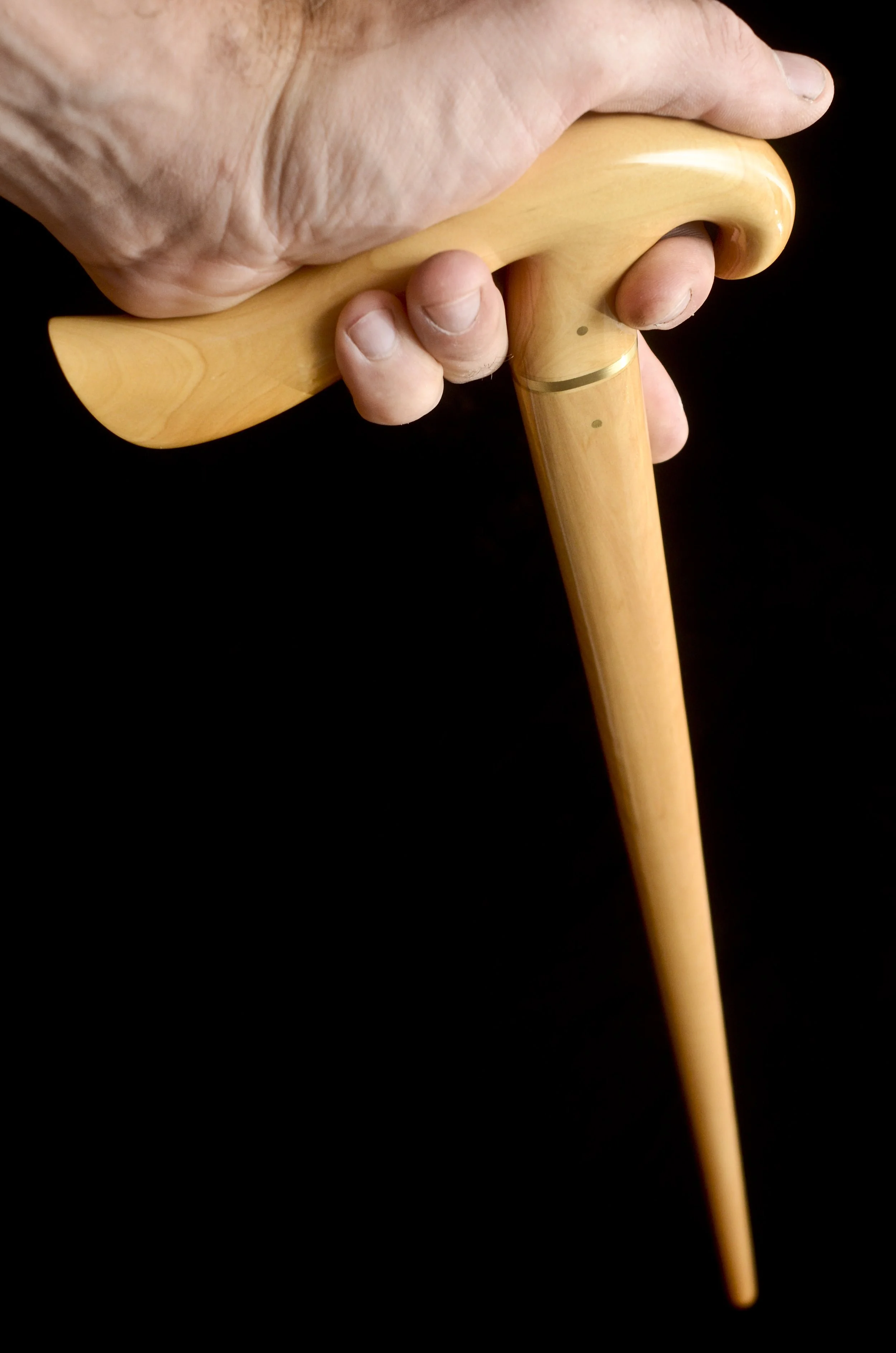 Boxwood Bird 8.jpg