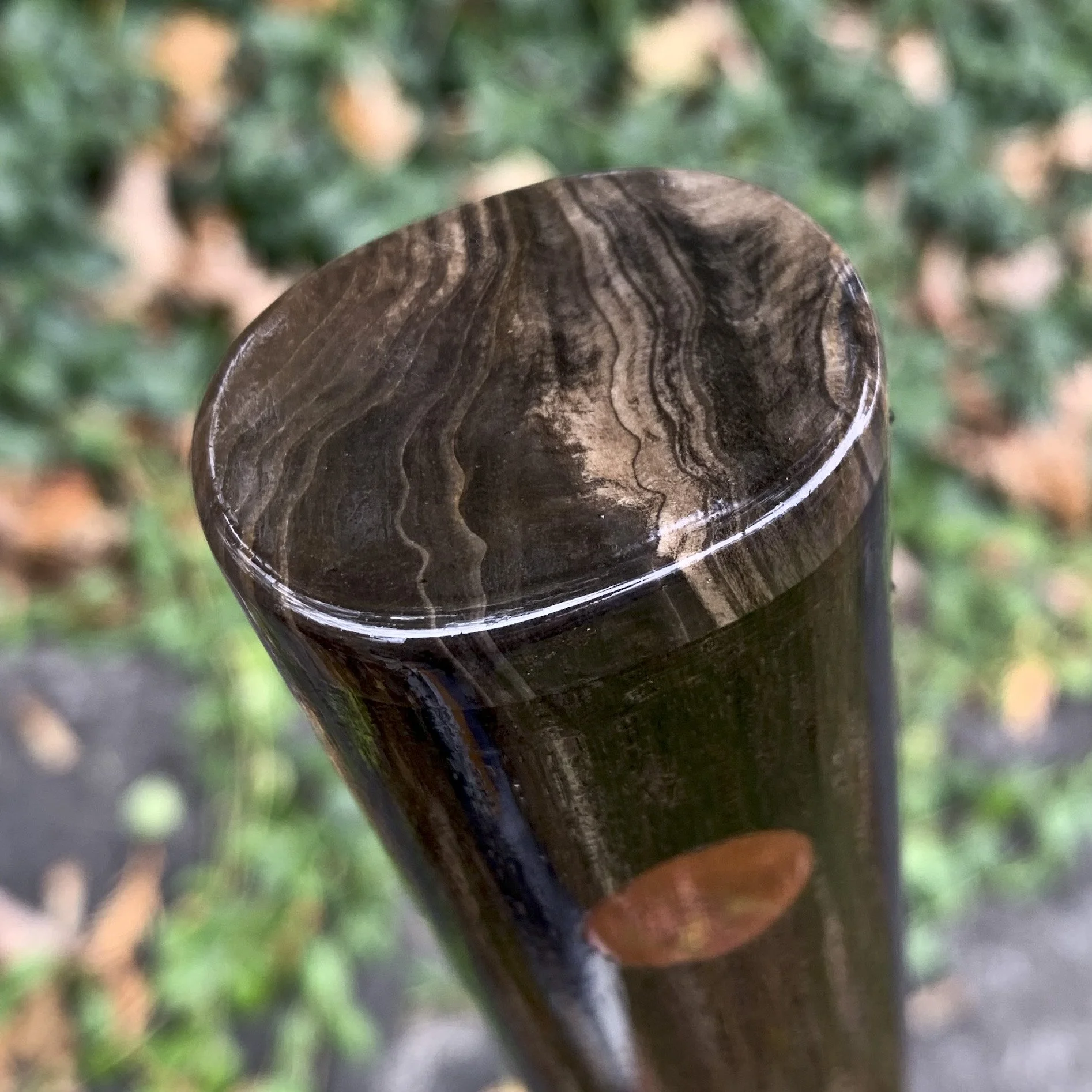 Bog Oak Petrified Wood 1.jpg