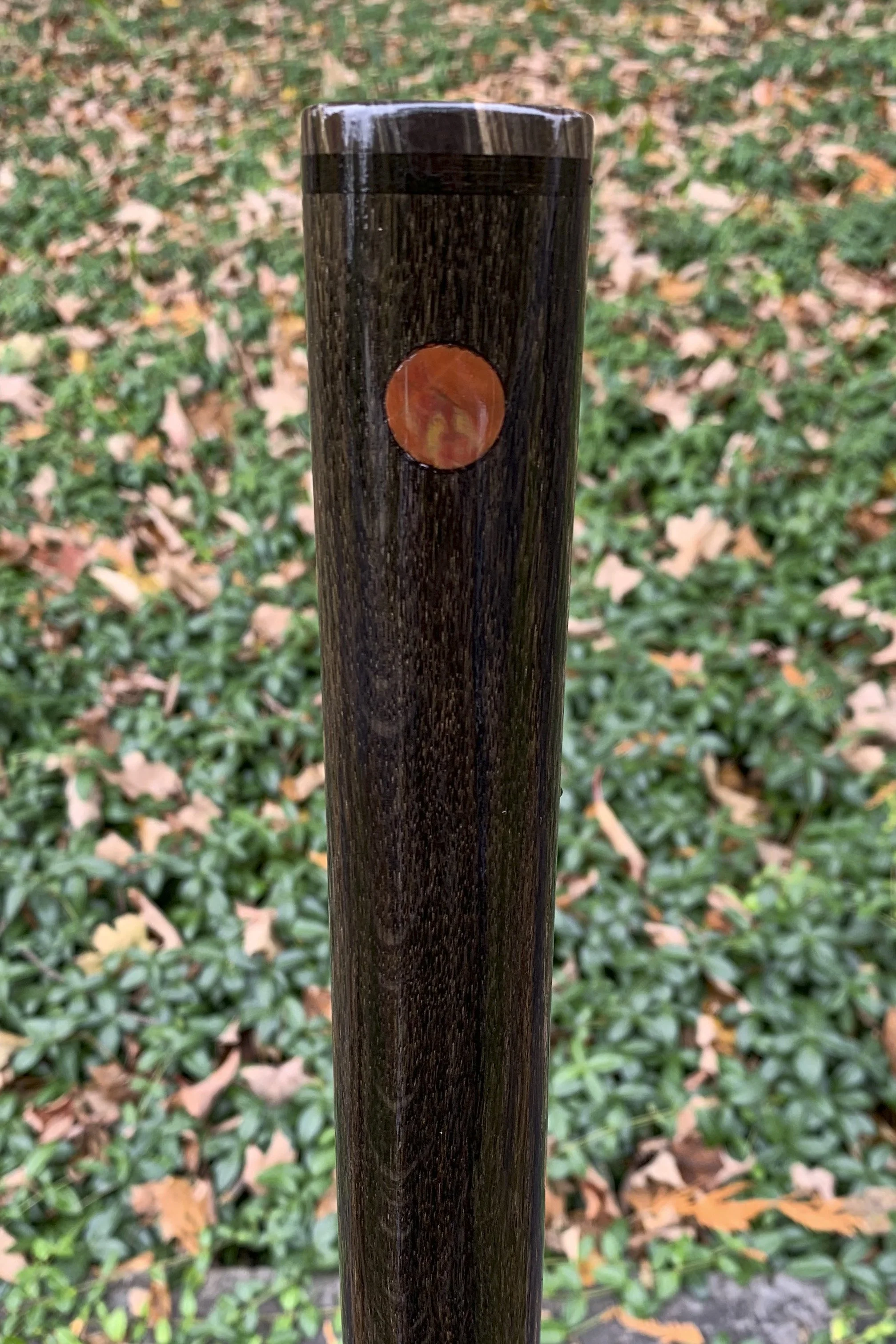 Bog Oak Petrified Wood 5.jpg