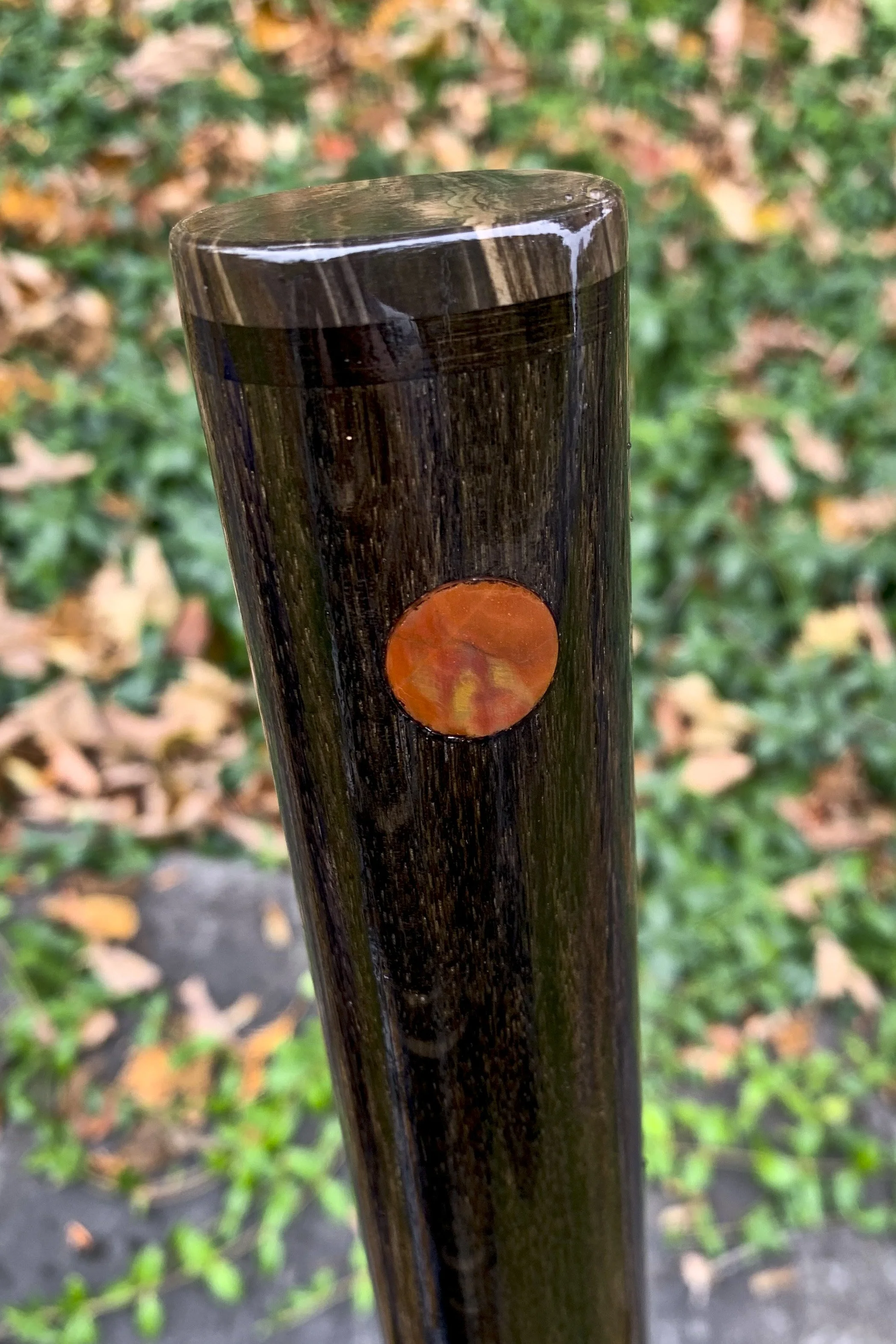 Bog Oak Petrified Wood 2.jpg