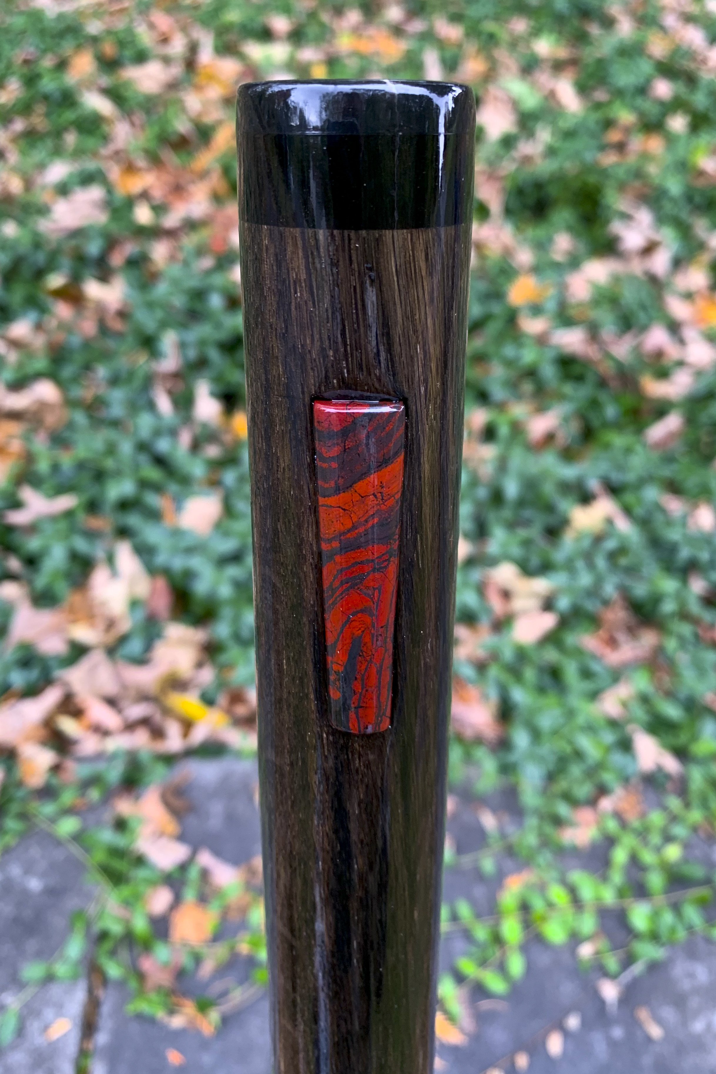 Bog Oak, Anceint Red Gum, Petrified Wood, Red Jasper and Hematite  2.jpg