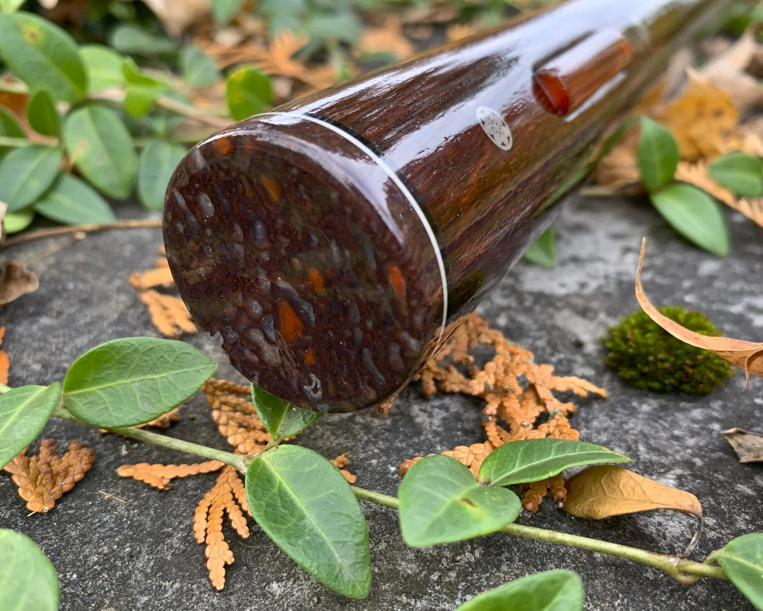 Rosewood, Dino Bone, Carnelian  5.jpg