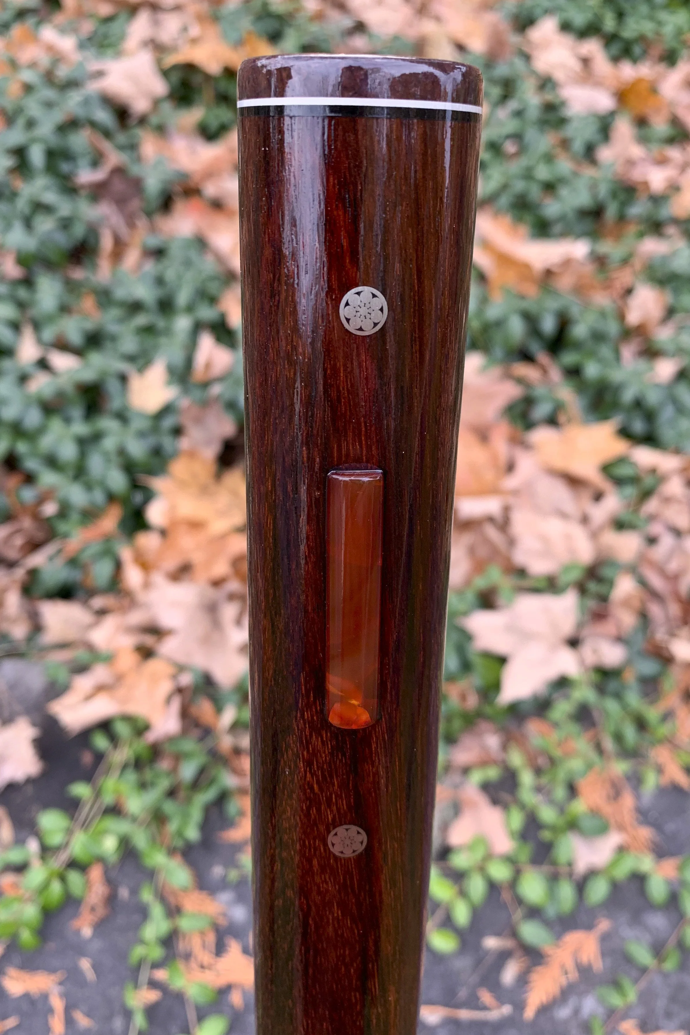 Rosewood, Dino Bone, Carnelian  11.jpg