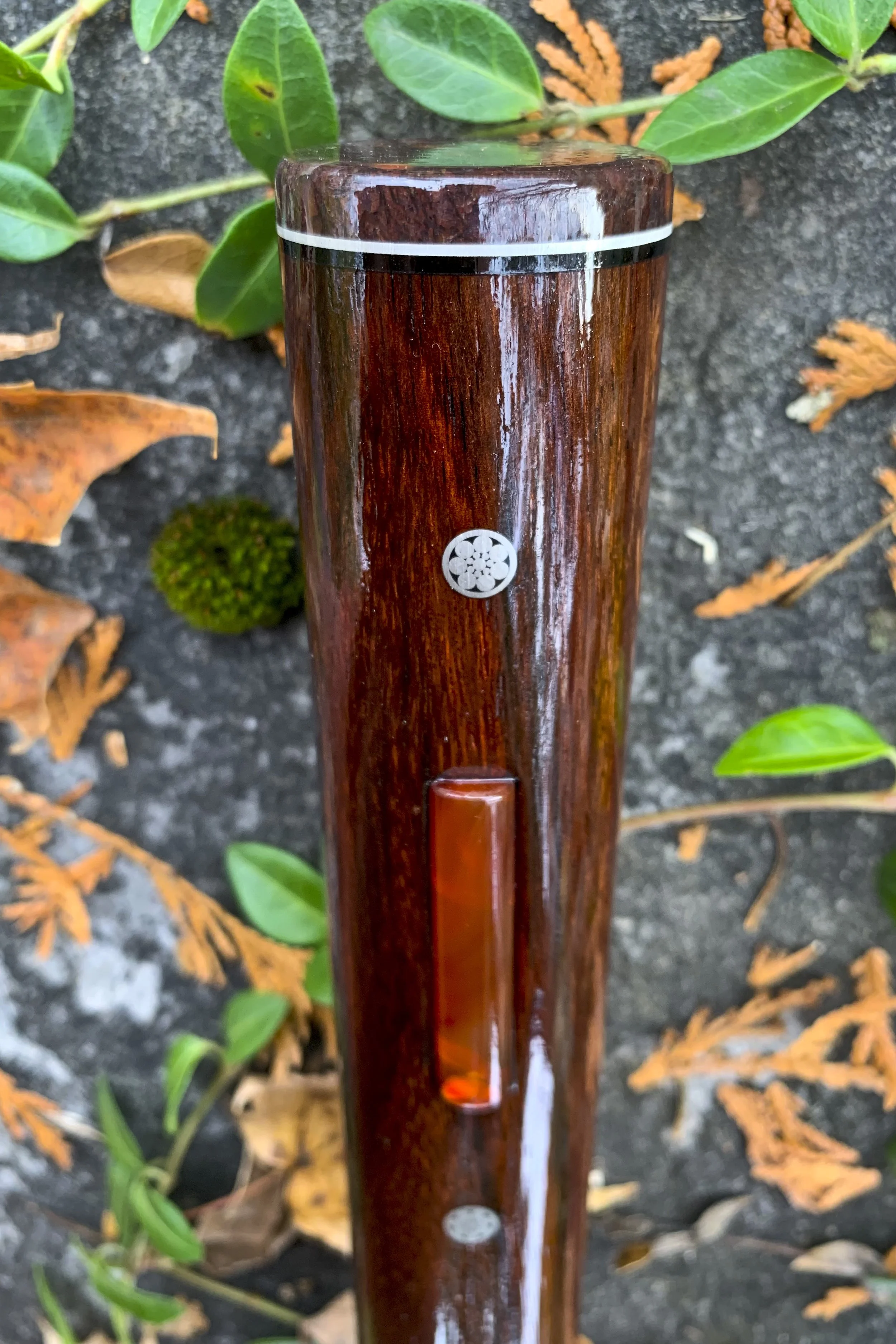 Rosewood, Dino Bone, Carnelian  1.jpg