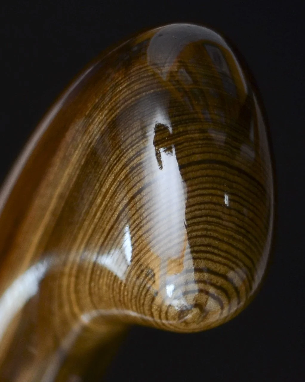 Sinker Cypress 10.jpg