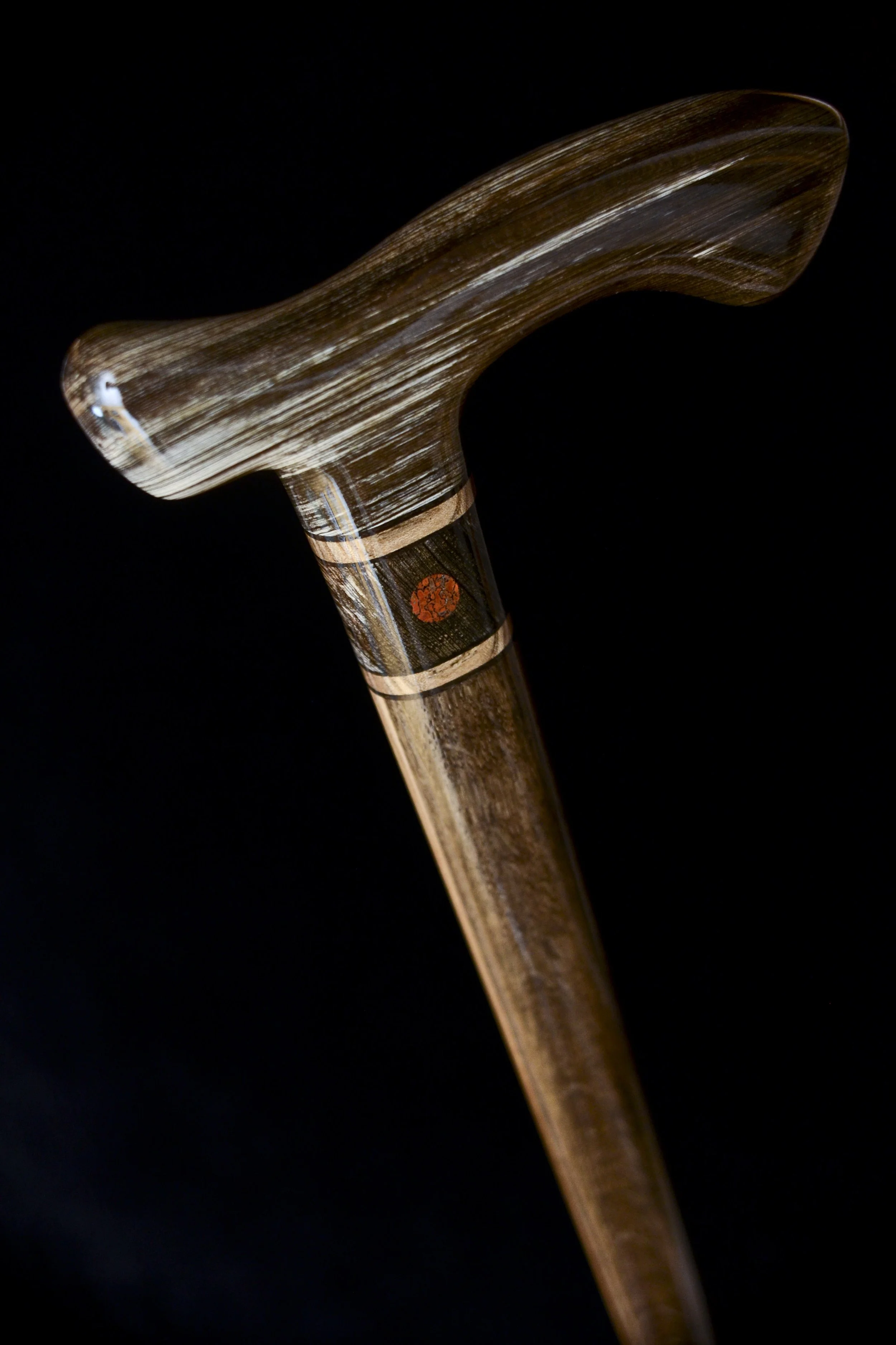 Sinker Cypress, Bog Oak, Jindai Nire, Dinosaur bone 5.jpg