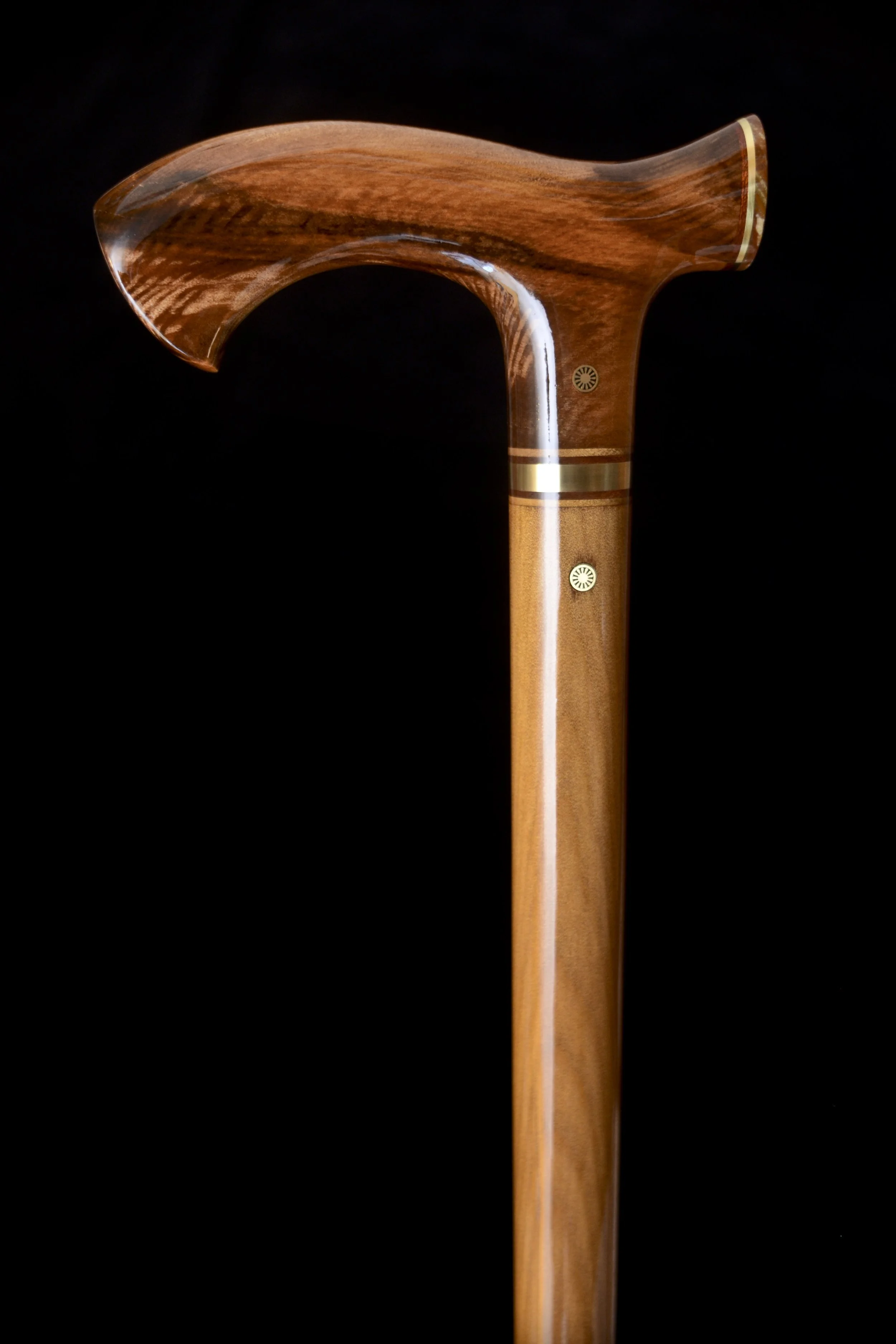 Ancient Kauri, Pet. Wood 2.jpg