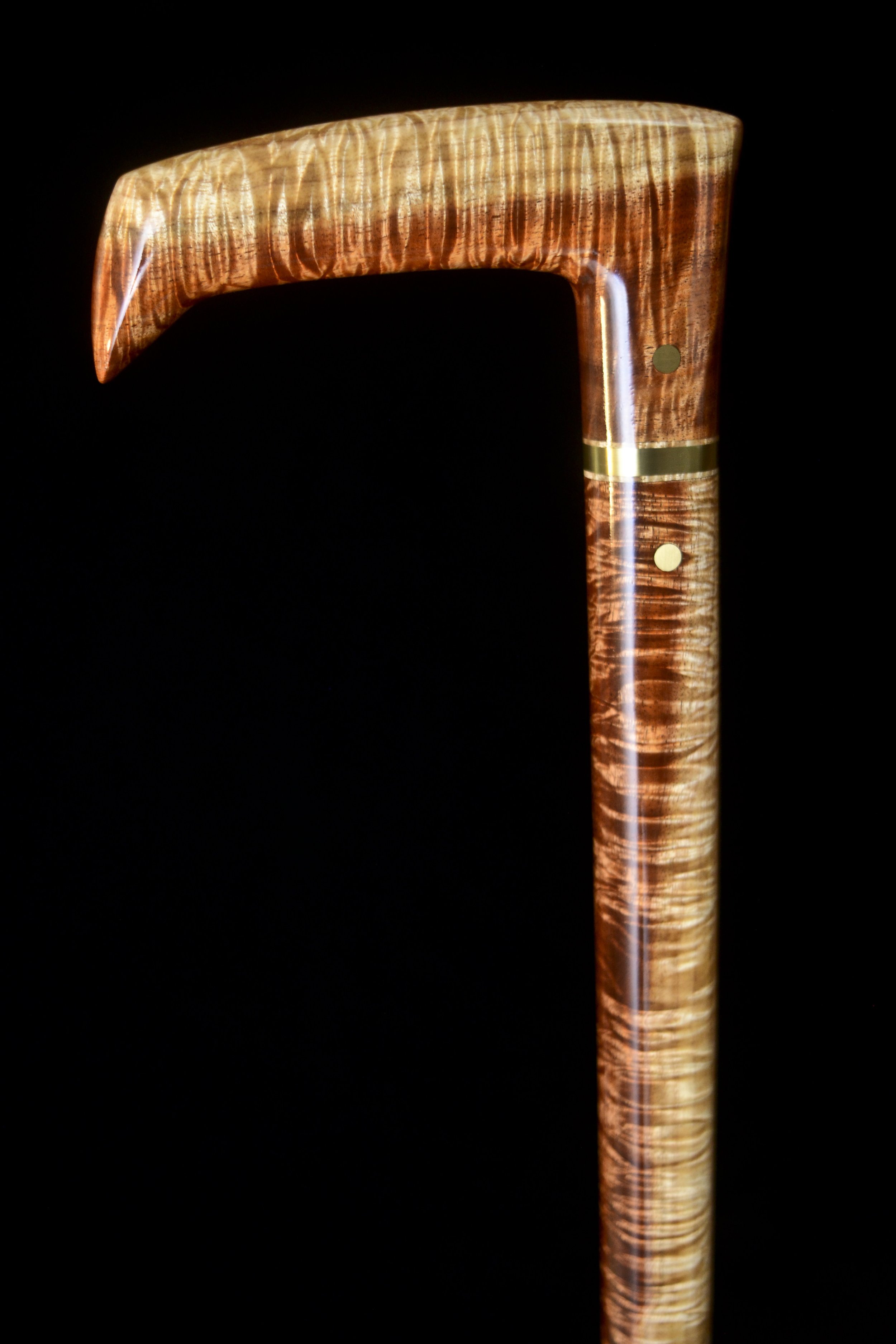 Tasmanian Blackwood 2.jpg