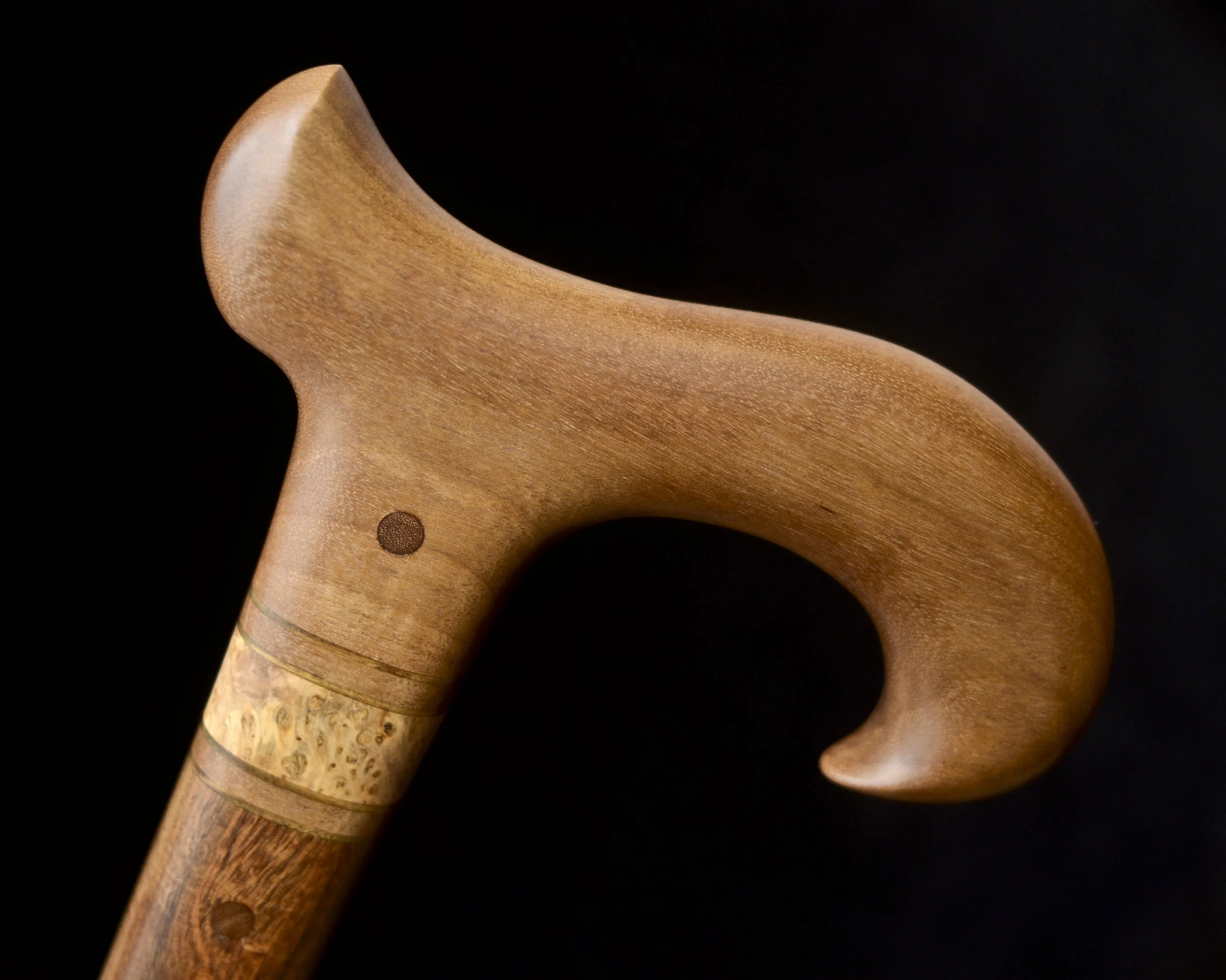 Sinker Birch, Ipe 7.jpg