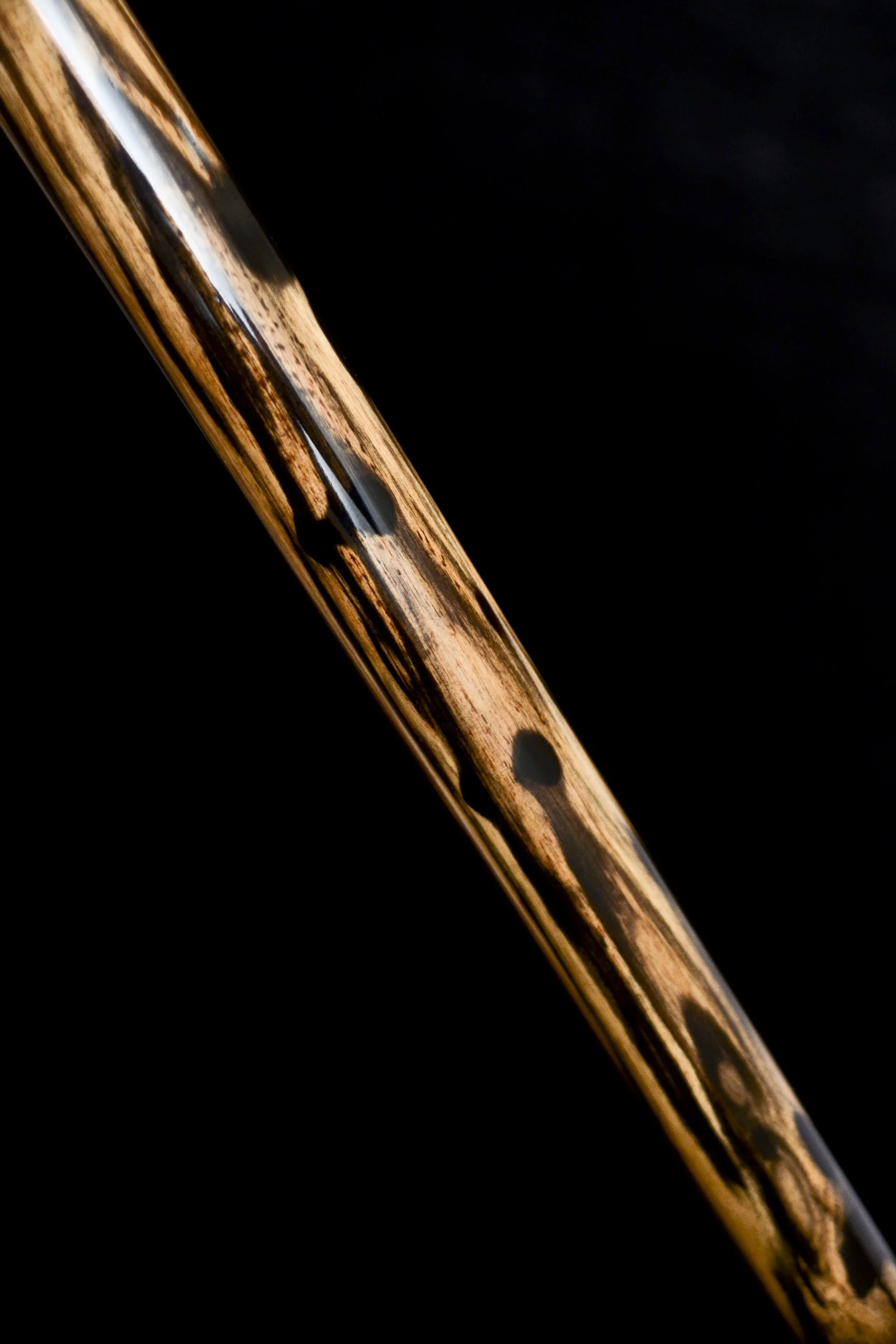 Mun Ebony, B&W Ebony 16.jpg