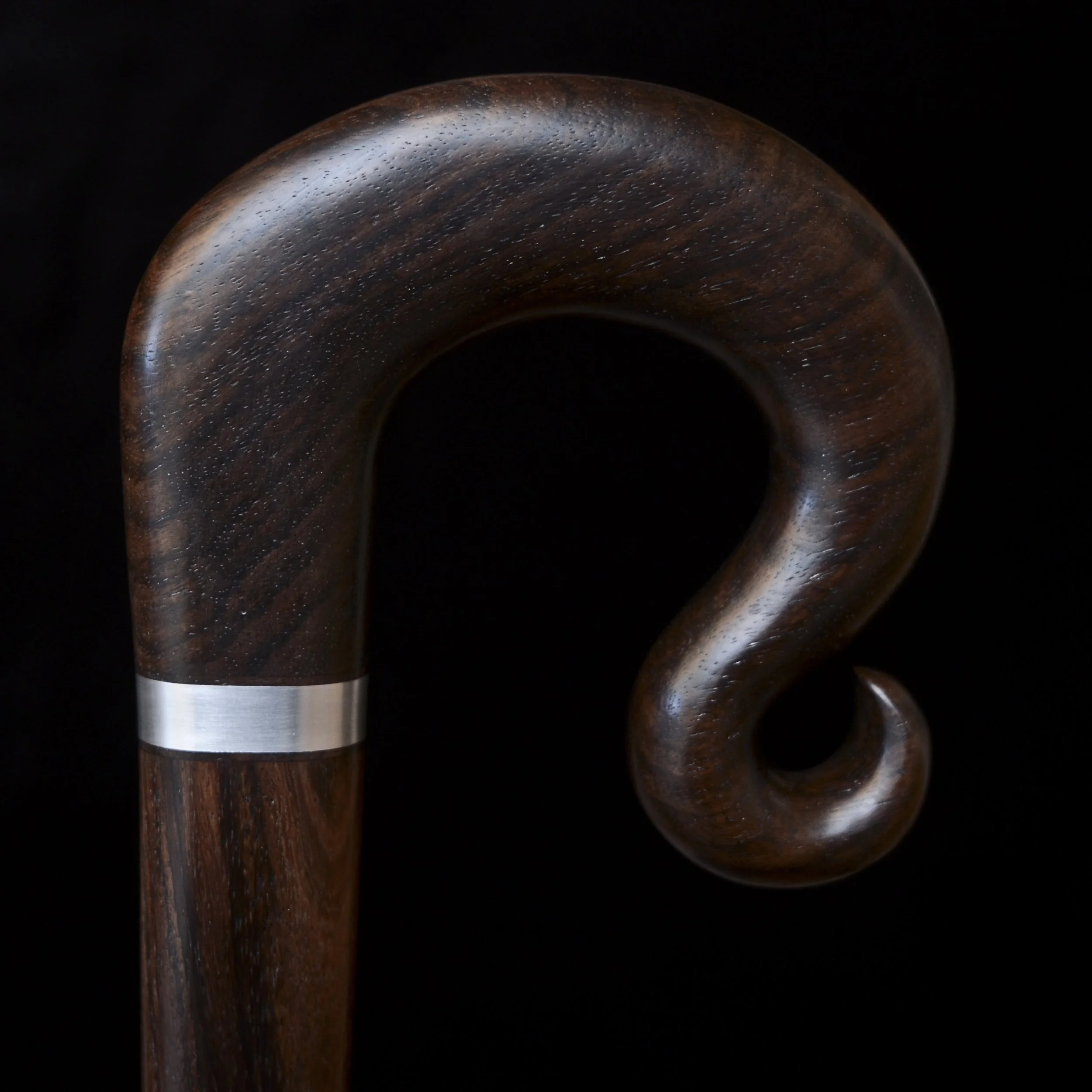 EIR Curl 9.jpg