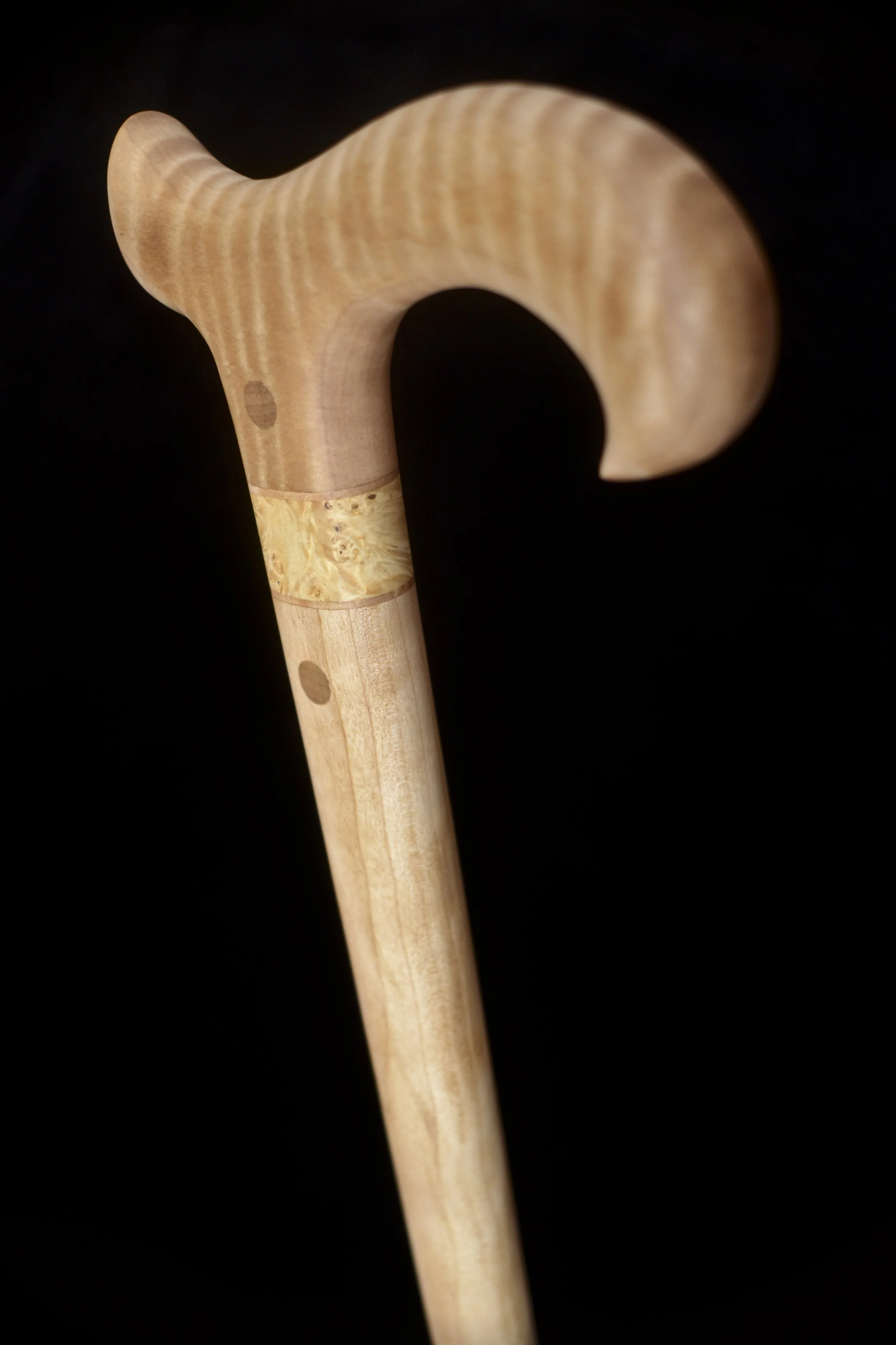 Maple birch 4.jpg