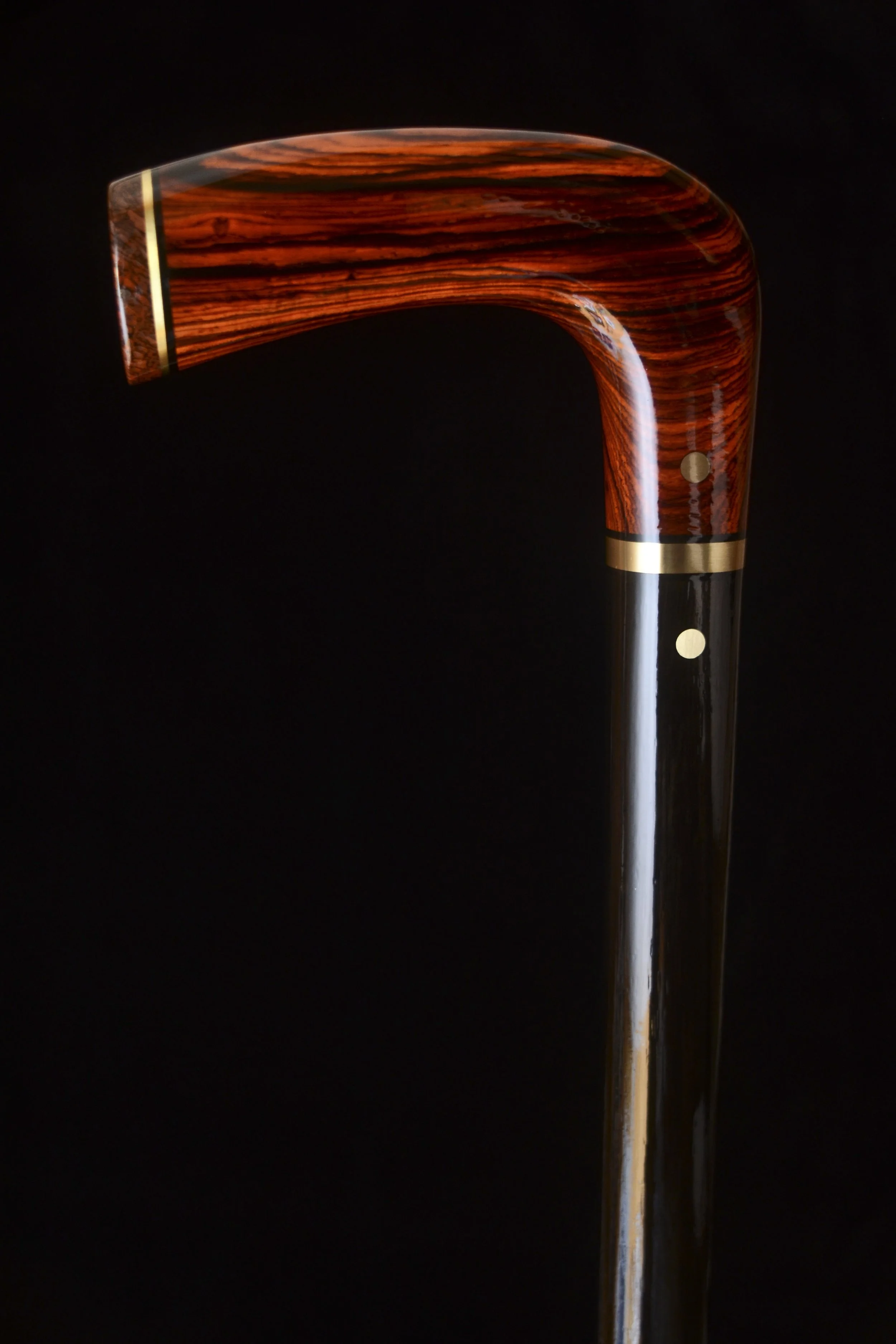 Cocobolo, Ebony, Dino Bone 1.jpg