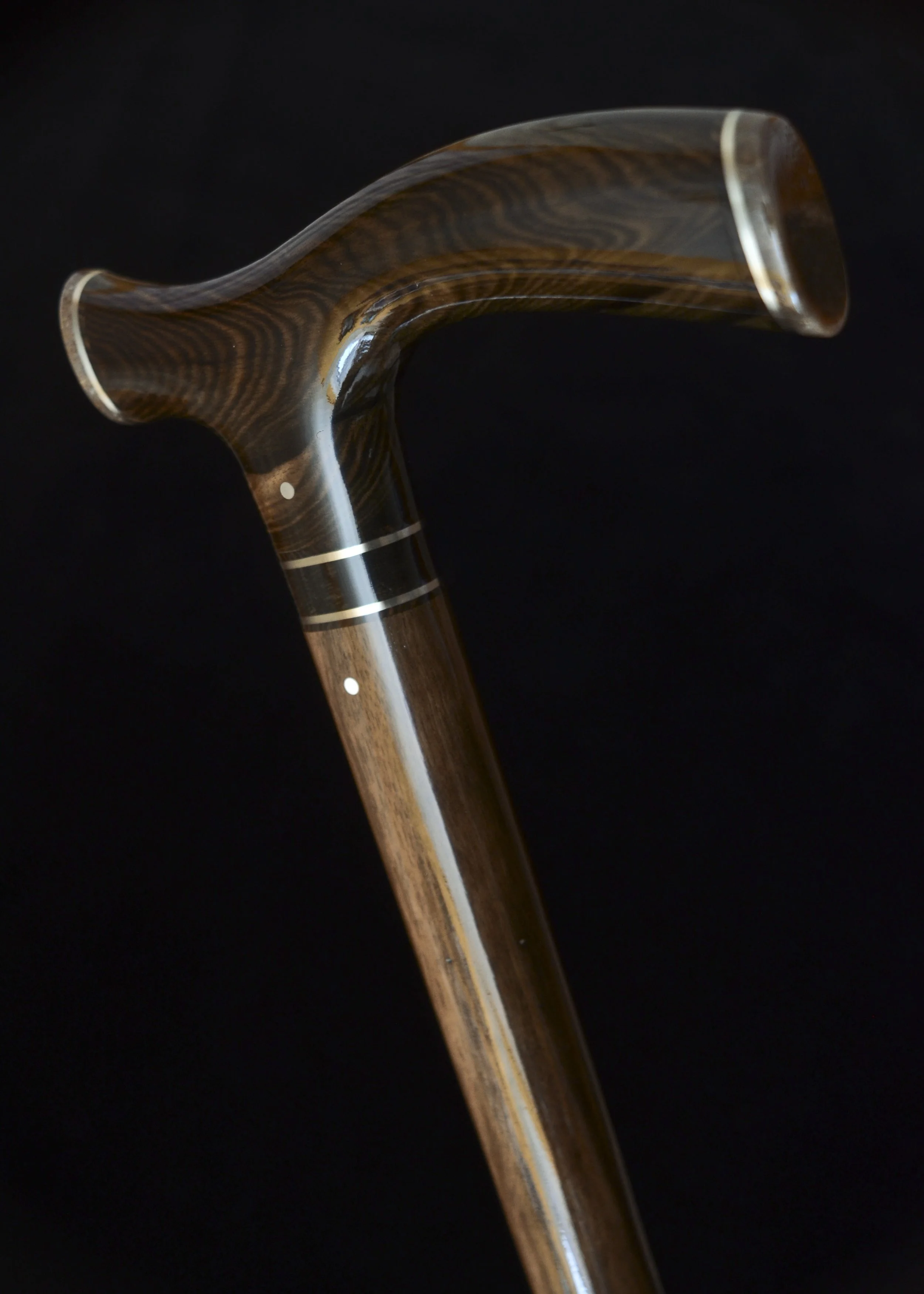 Mun Ebony, Kalimantan Ebony, Dinosaur Bone 4.jpg