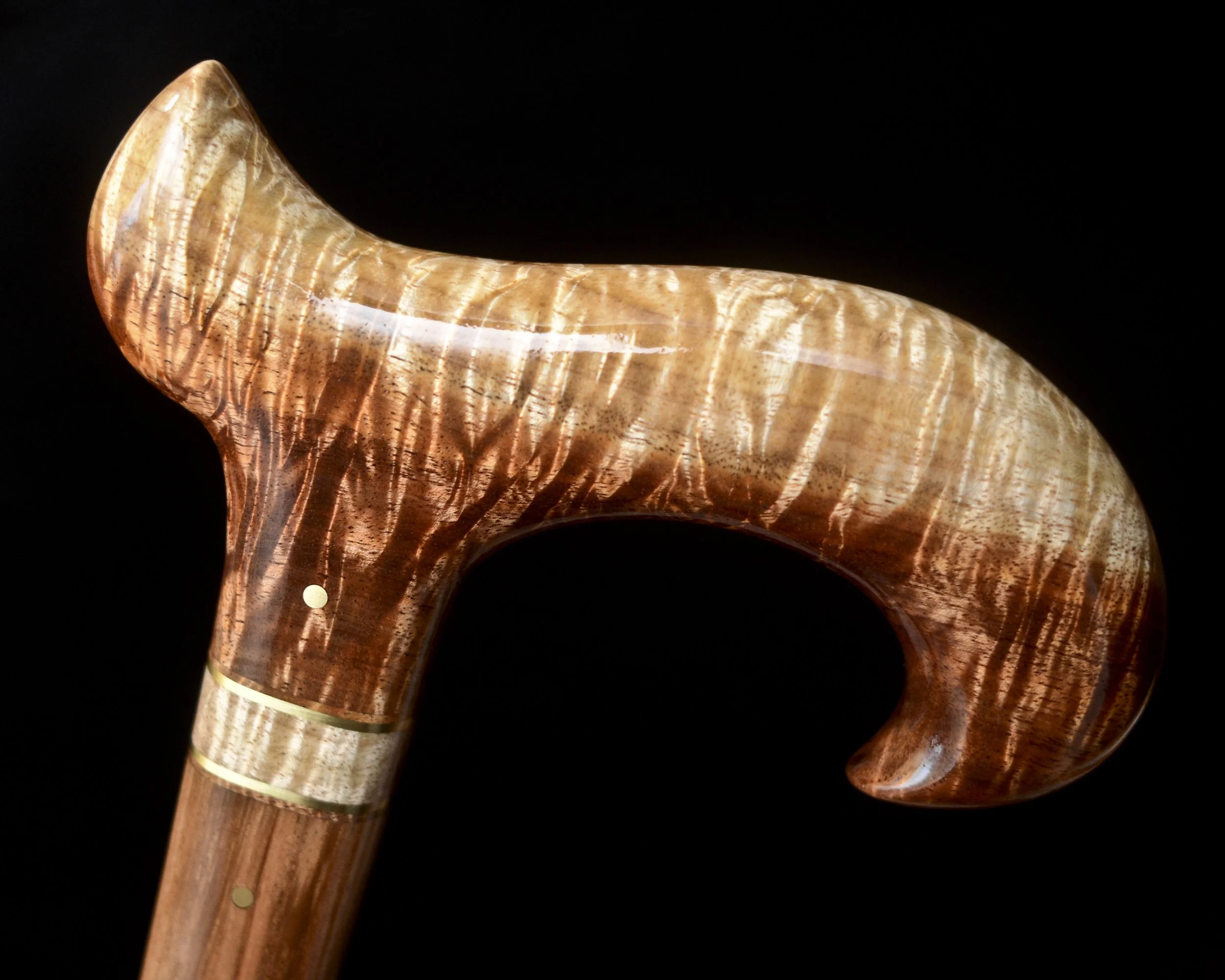 Tasmanian Blackwood 7.jpg