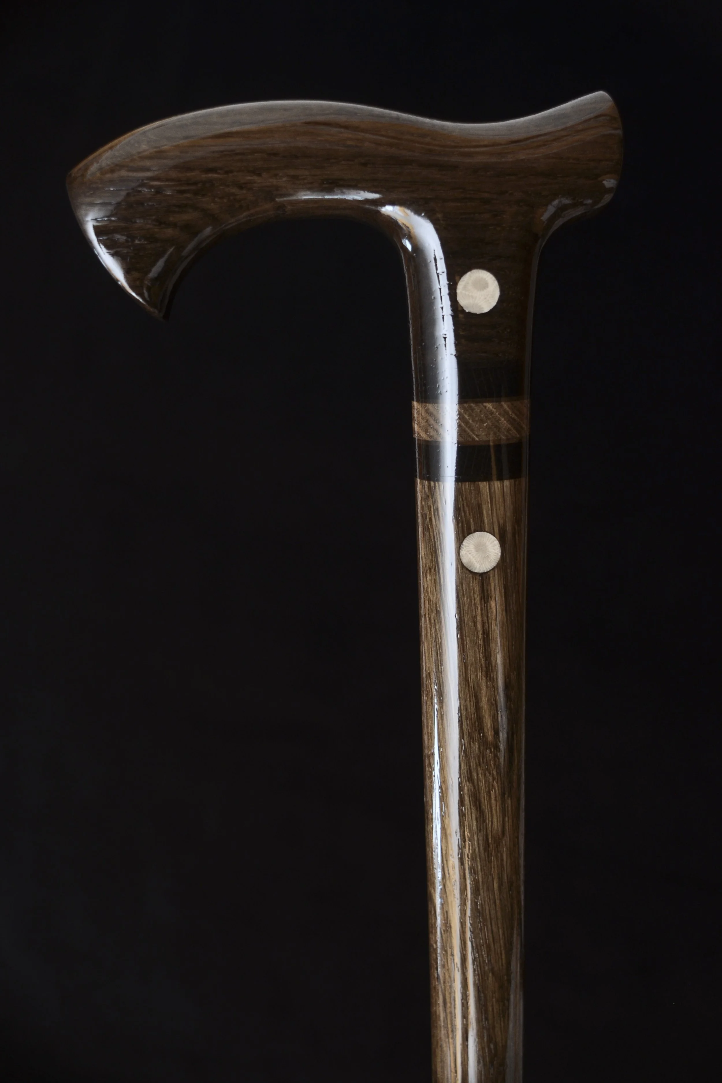 Bog Oak Fossil coral  2.jpg