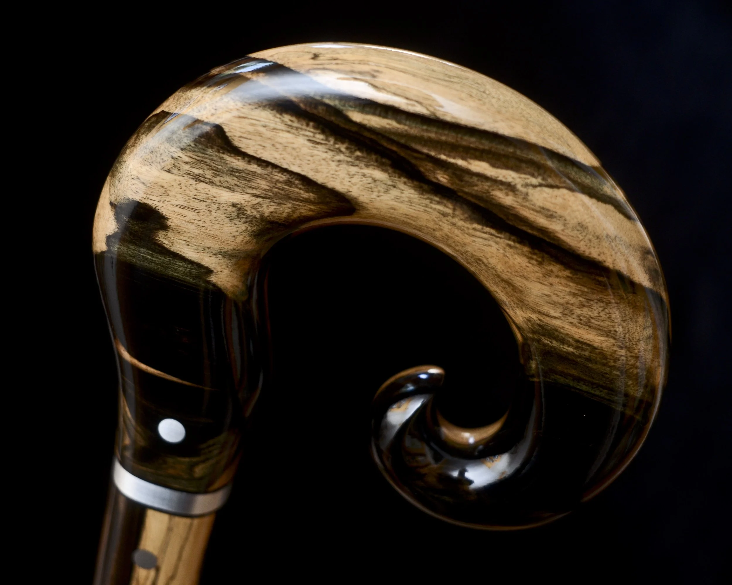 Black and white ebony 5.jpg