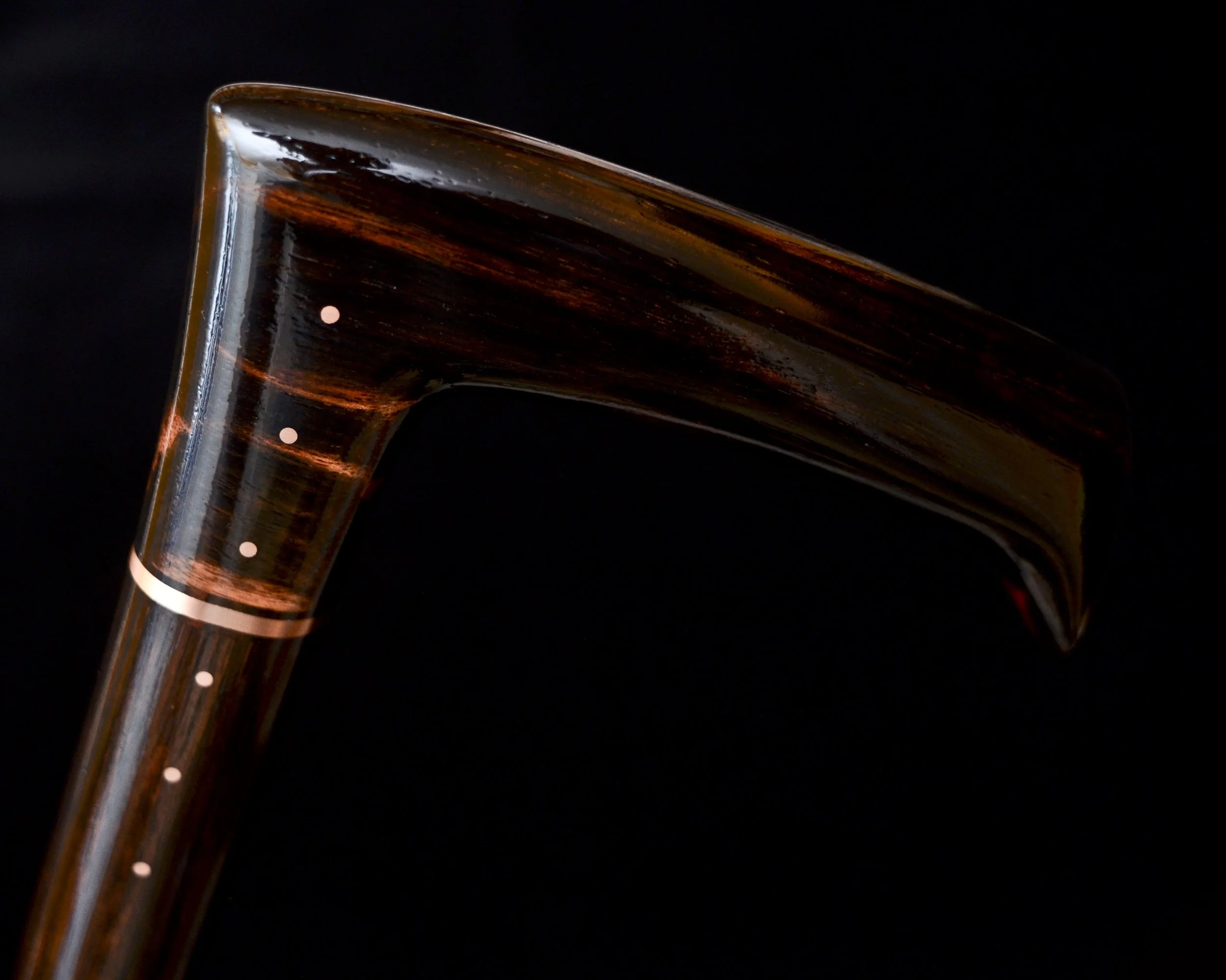 Ebony Modern 7.jpg