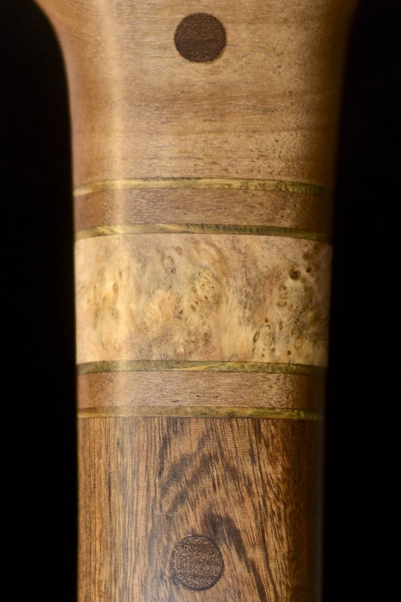 Sinker Birch, Ipe 9.jpg