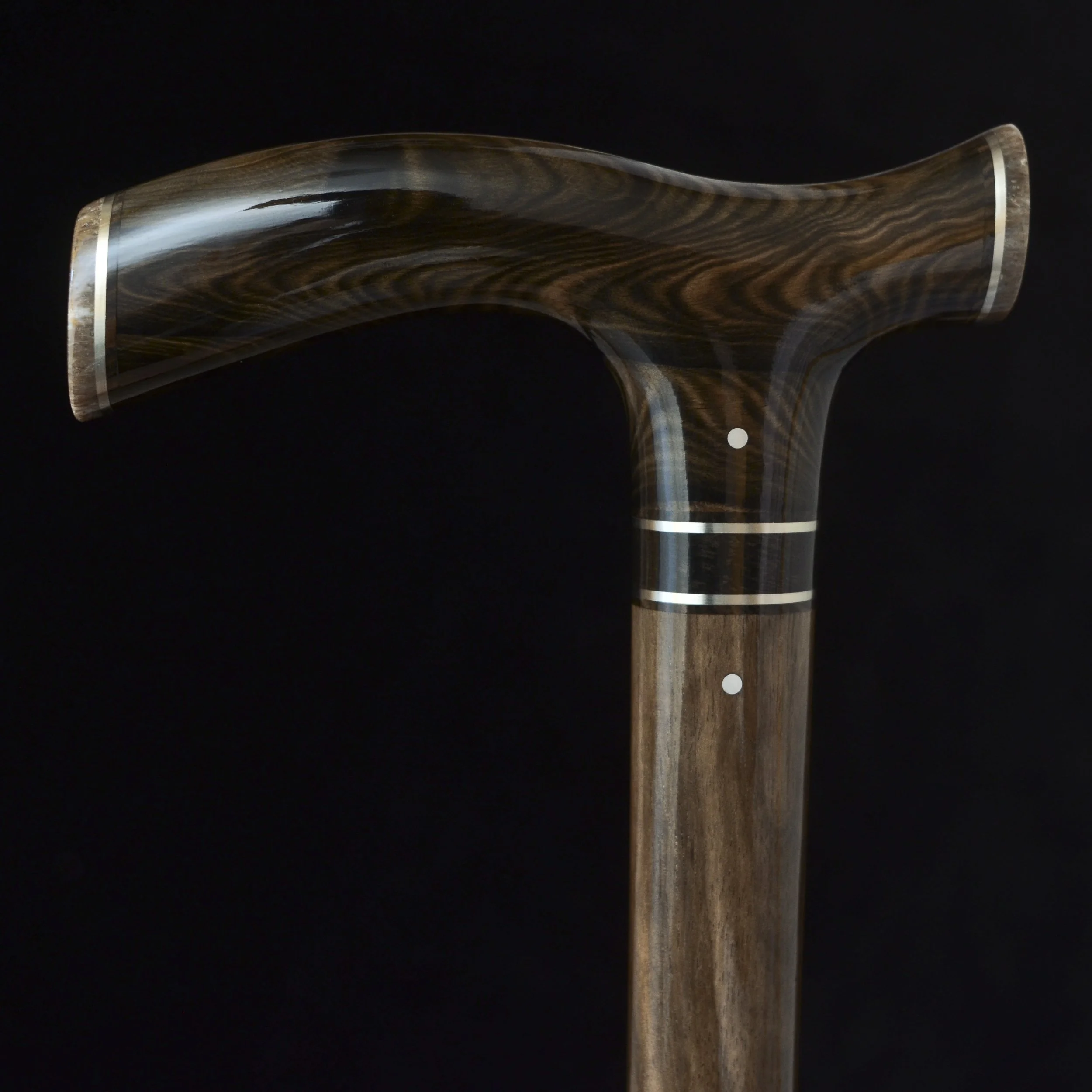 Mun Ebony and Dinosaur Bone Cane