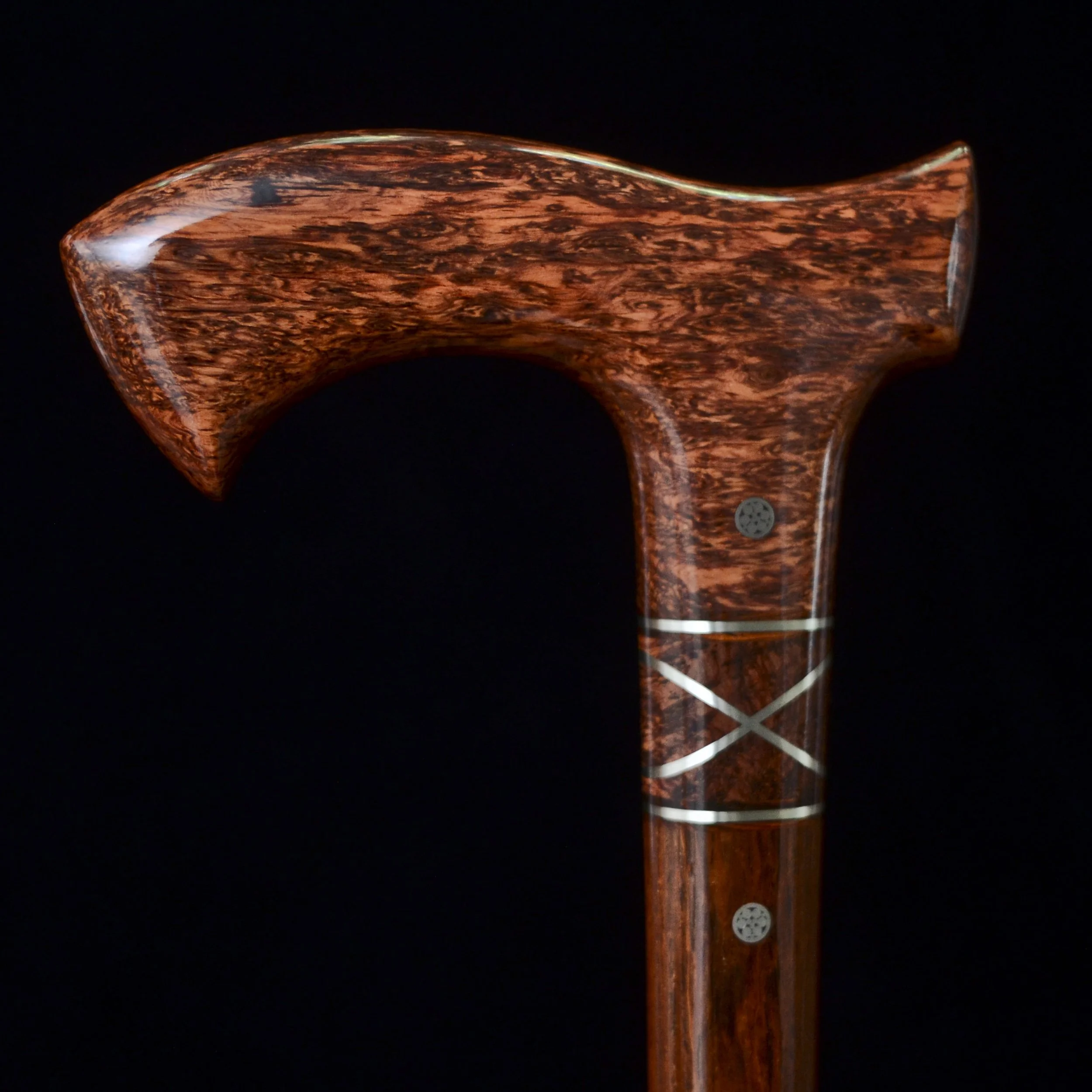 Siamese, Cocobolo 12.jpg