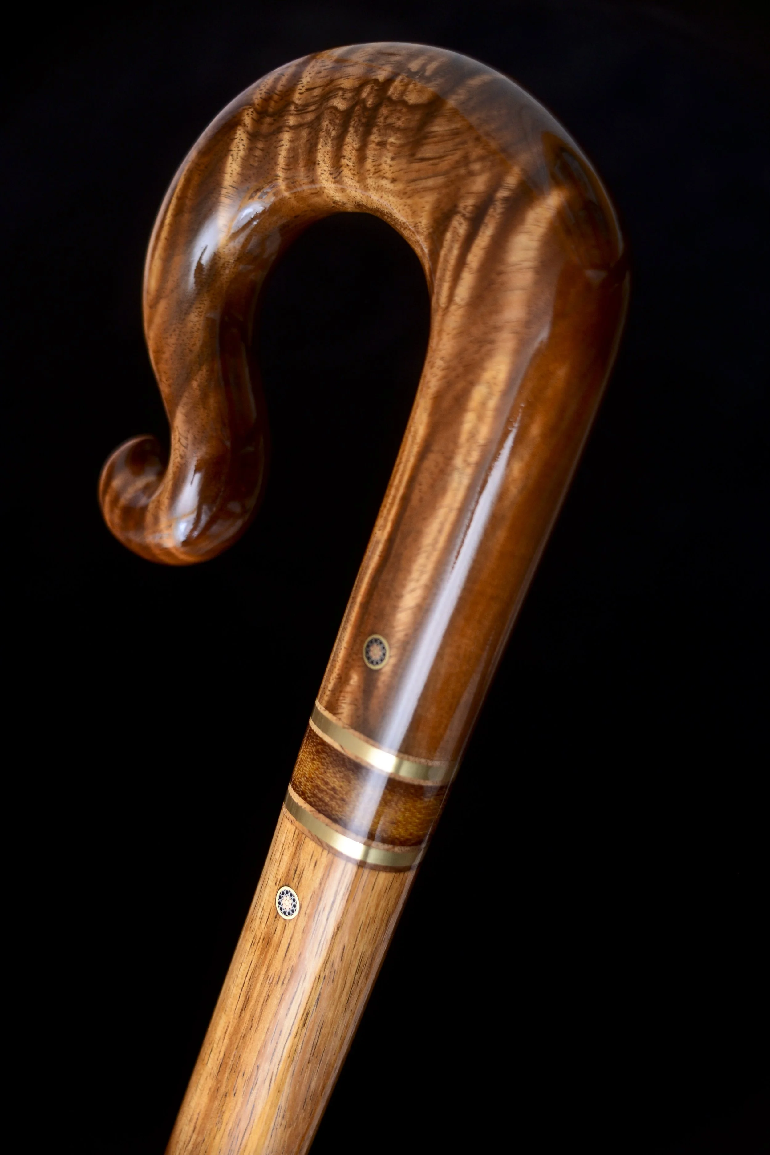 Tasmanian Blackwood, Koa 3.jpg