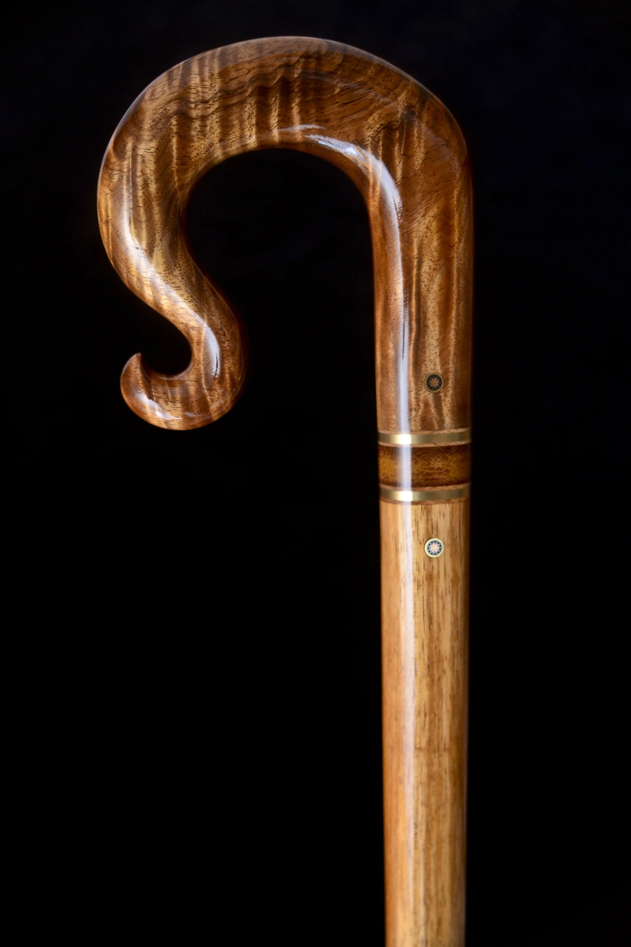 Tasmanian Blackwood, Koa 2.jpg