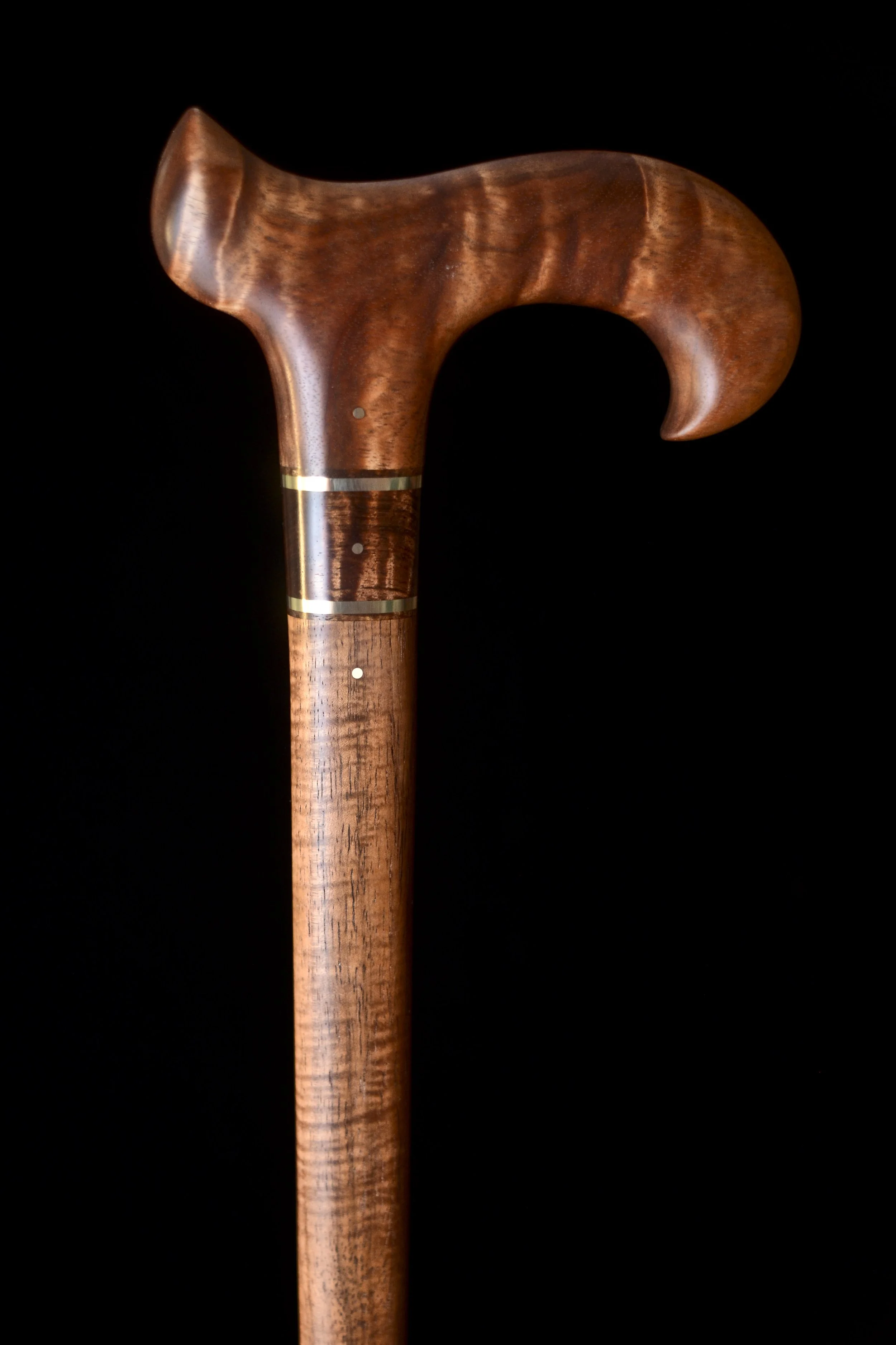Tasmanian Blackwood, Tzalam 1.jpg