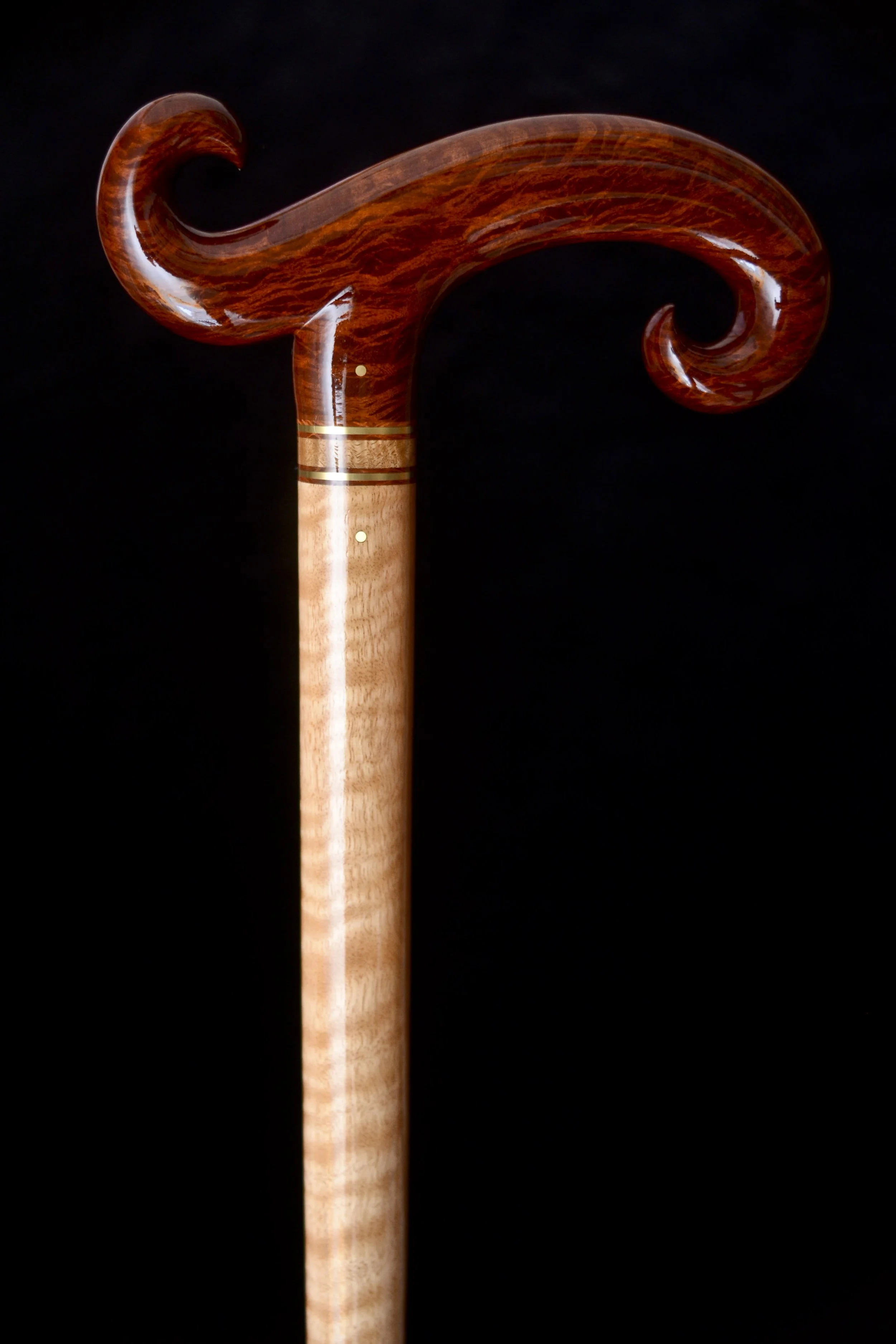 Sheoak, Eucalyptus 1.jpg