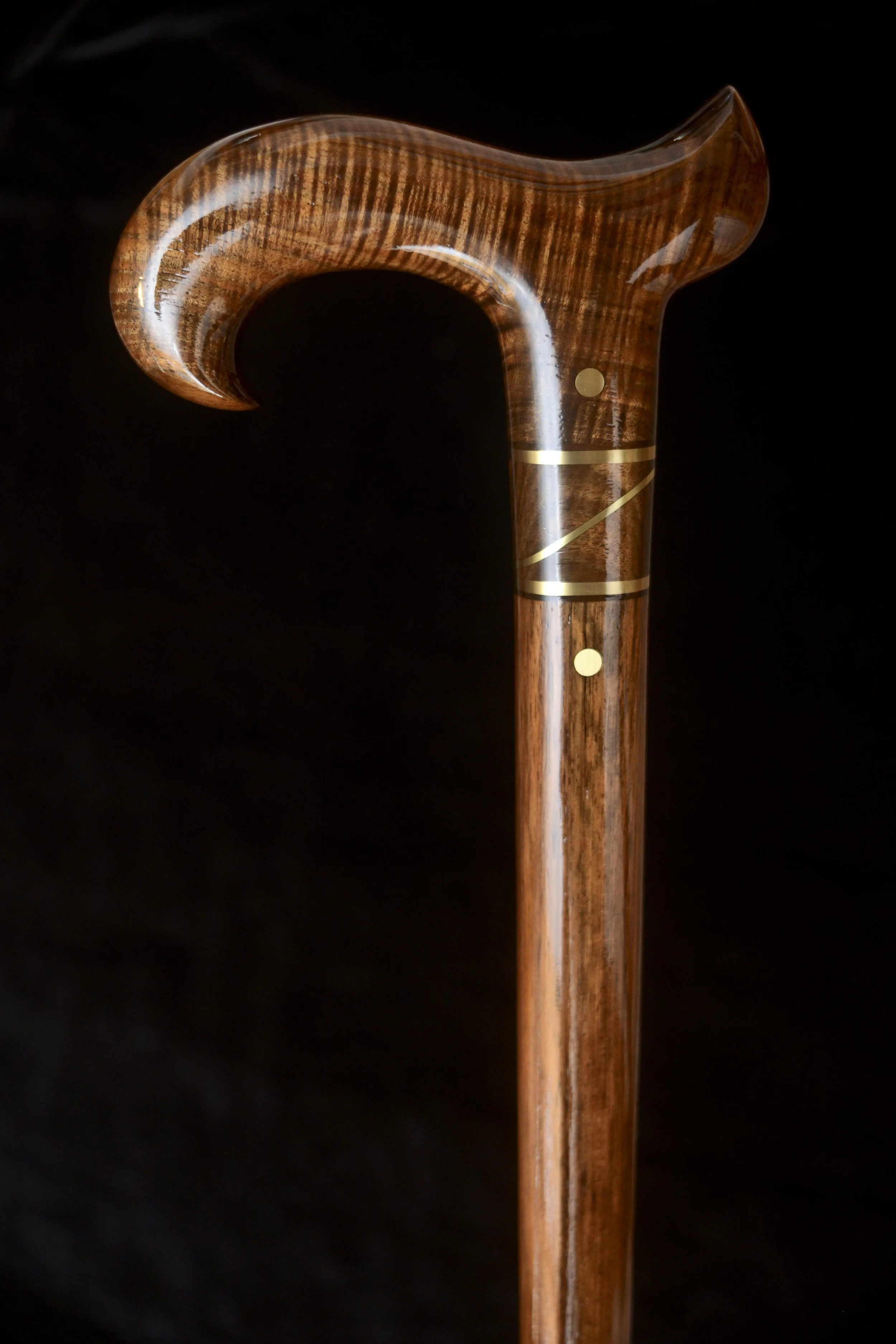 Ancient Blackwood 2.jpg
