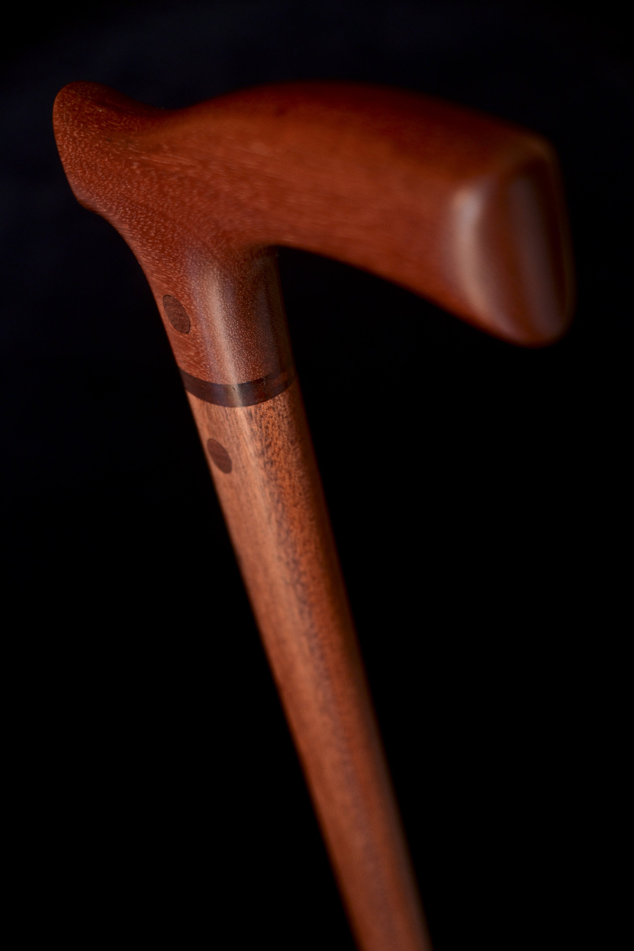 Sapele  4.jpg