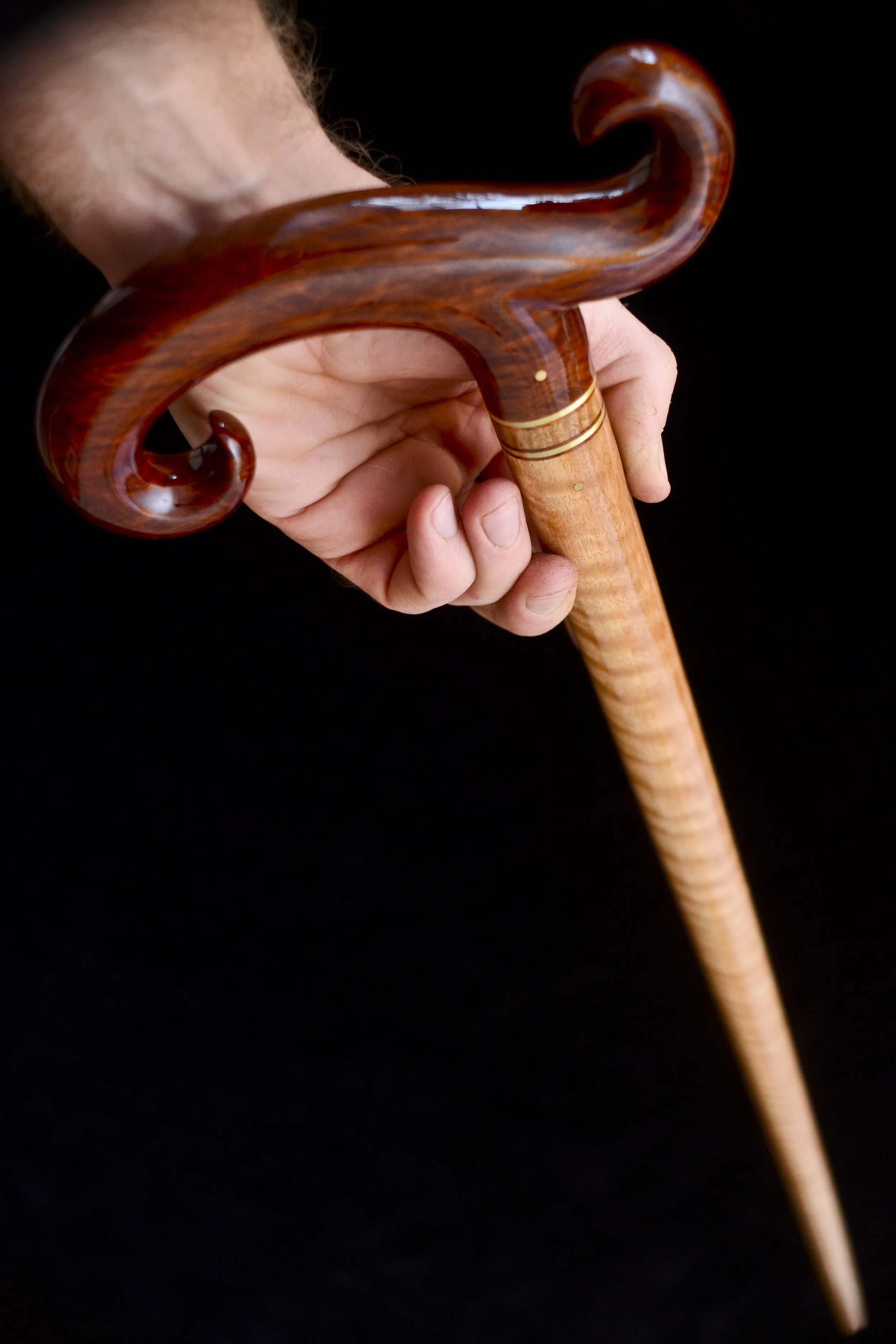 Sheoak, Eucalyptus 10.jpg