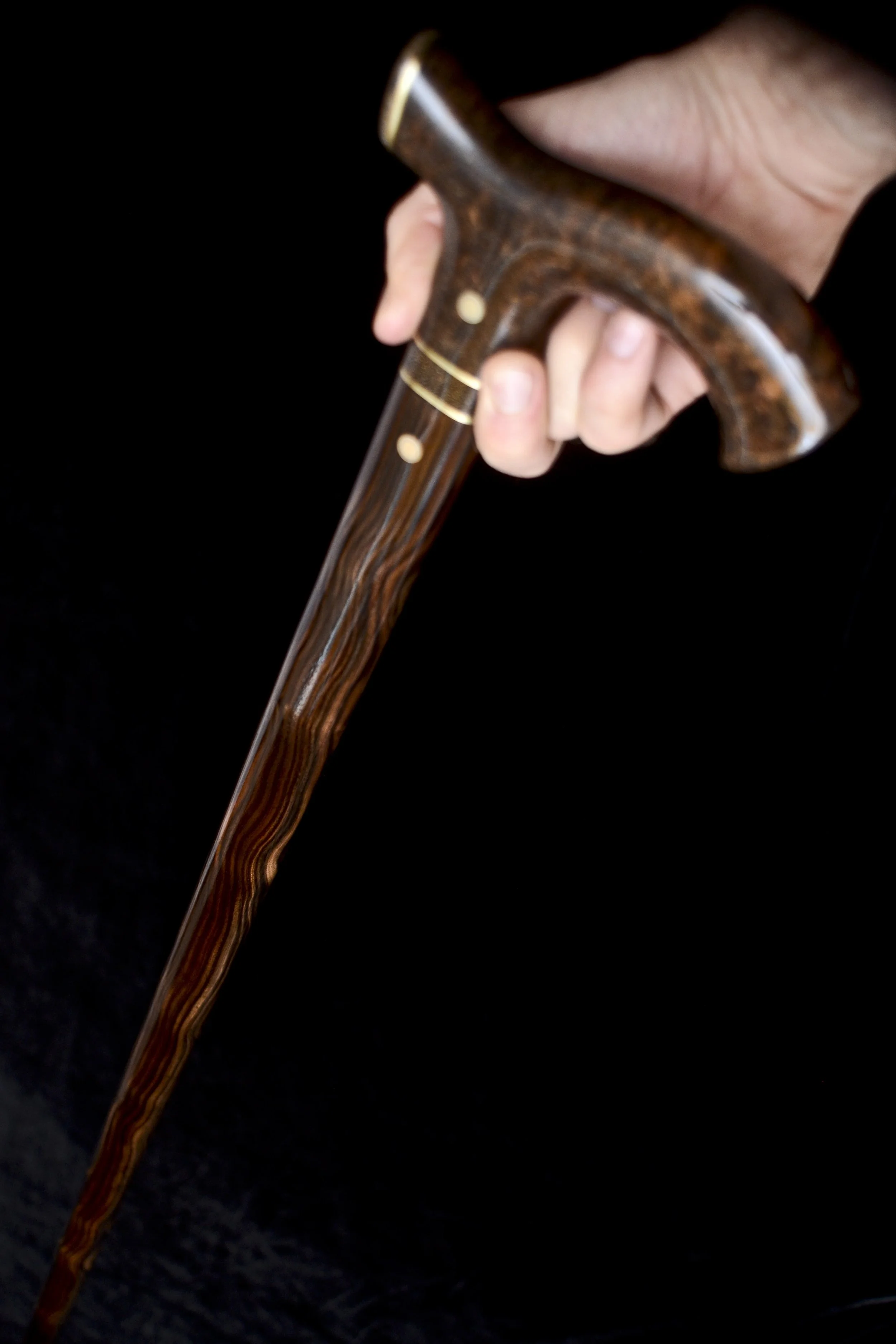 Gidgee Burl, Macassar Ebony, Ancient Bone, Stony Meteorite 17.jpg