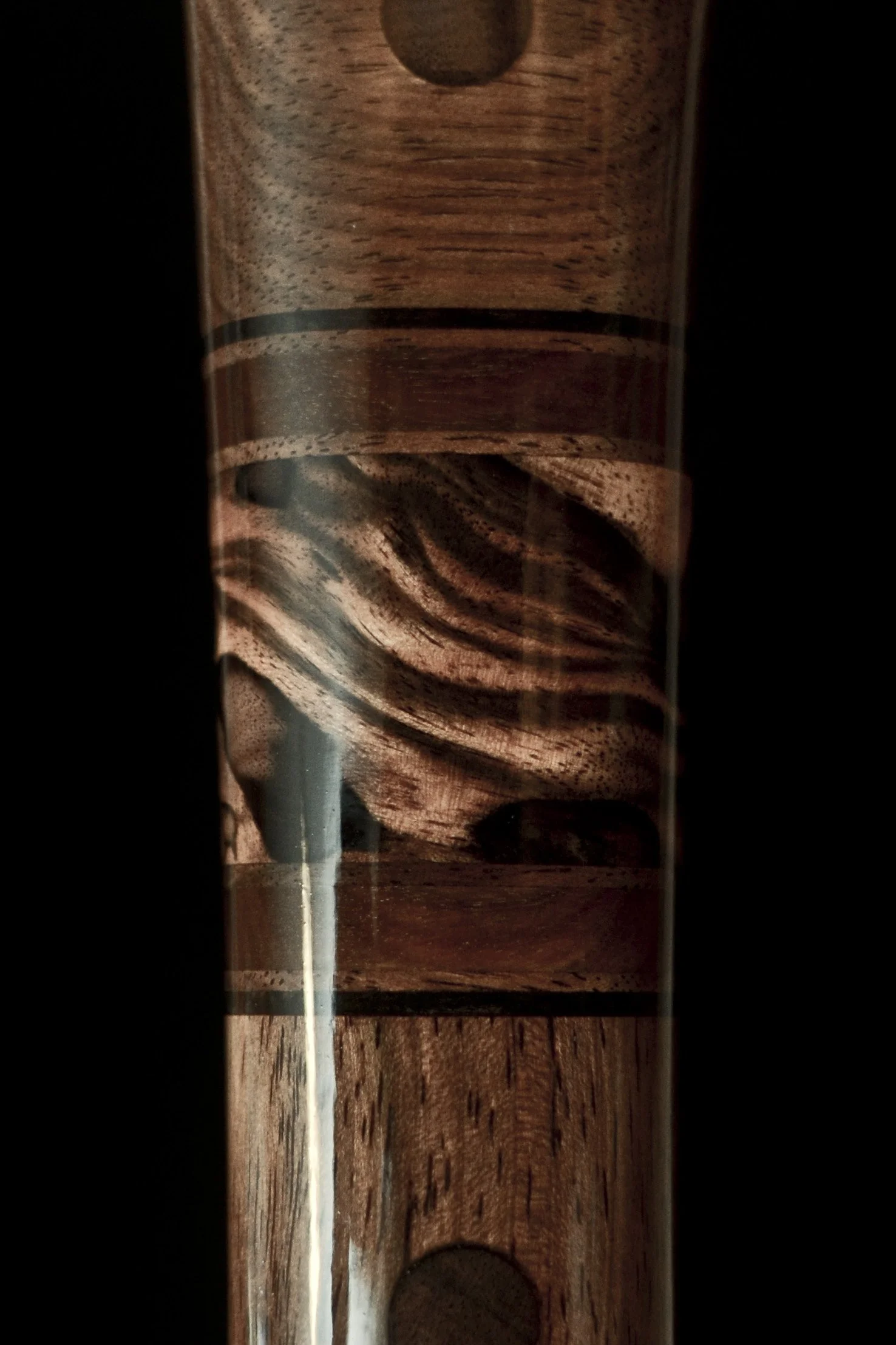Kalimantan Ebony 7.jpg