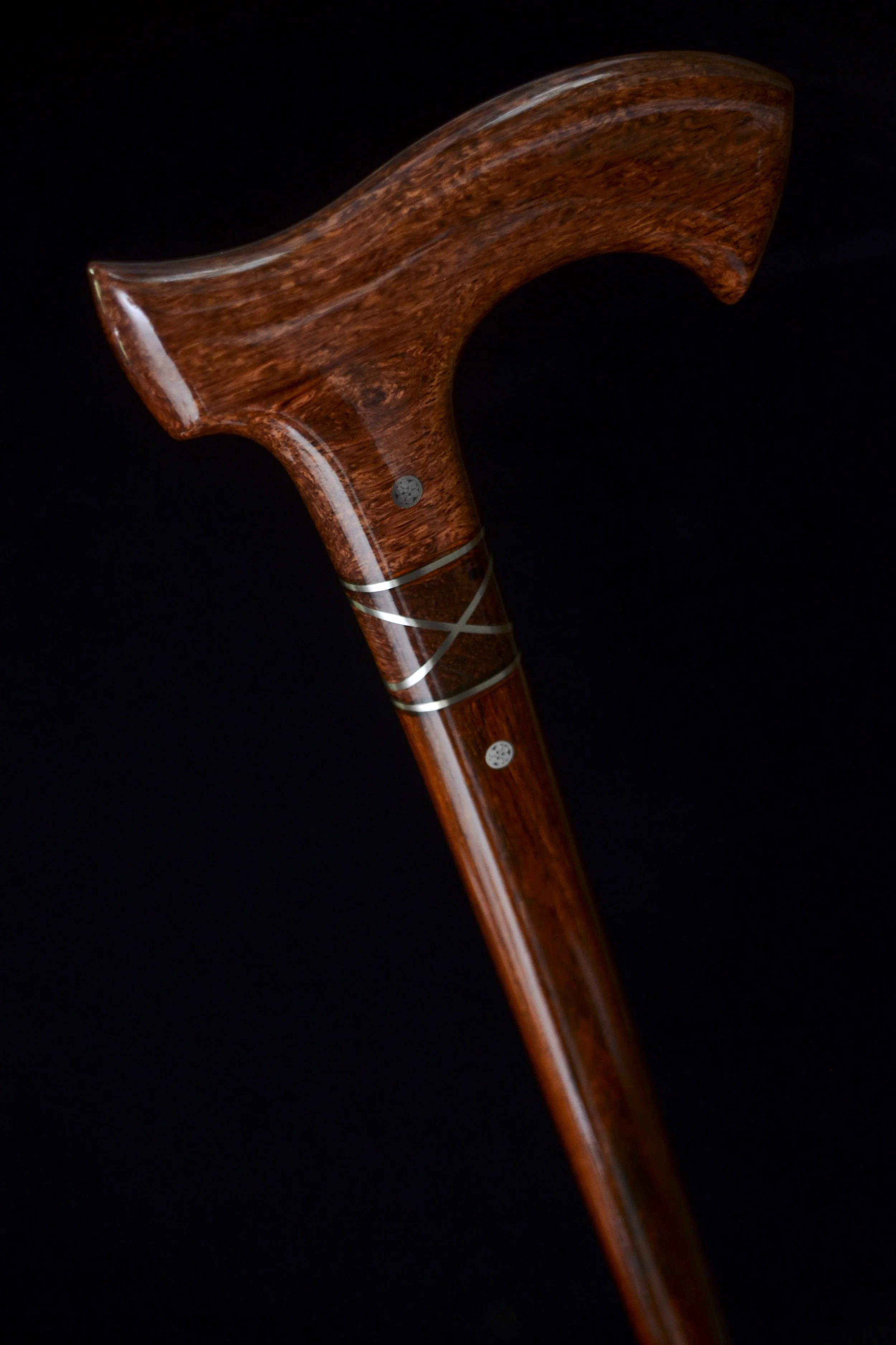 Siamese, Cocobolo 5.jpg