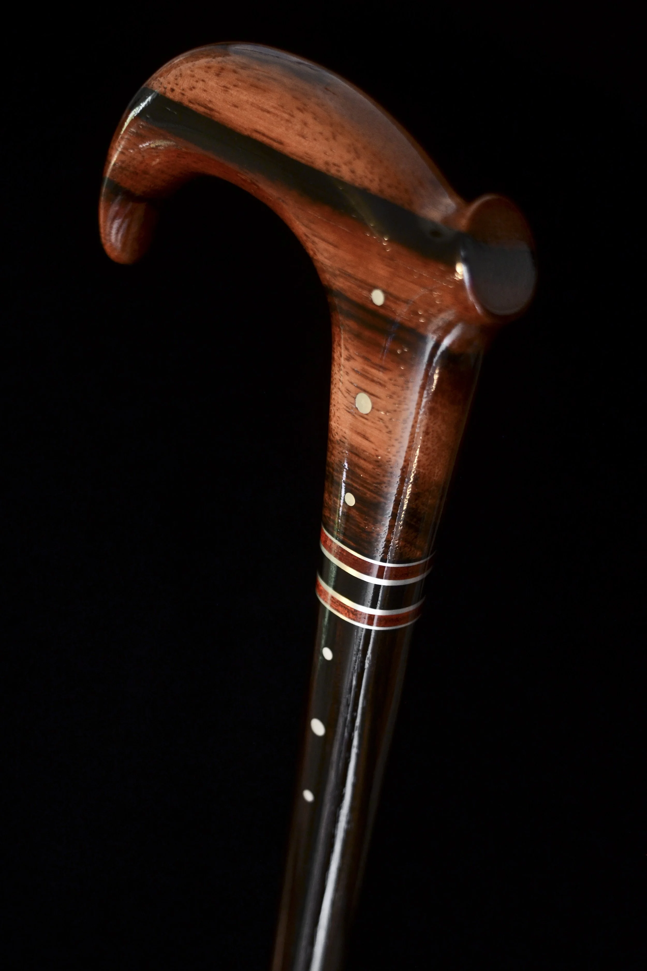 Ebony claw 3.jpg